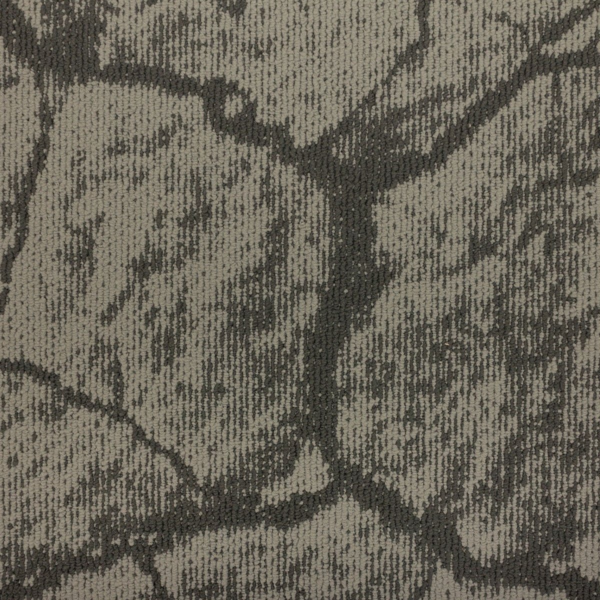 Earth - Image 4