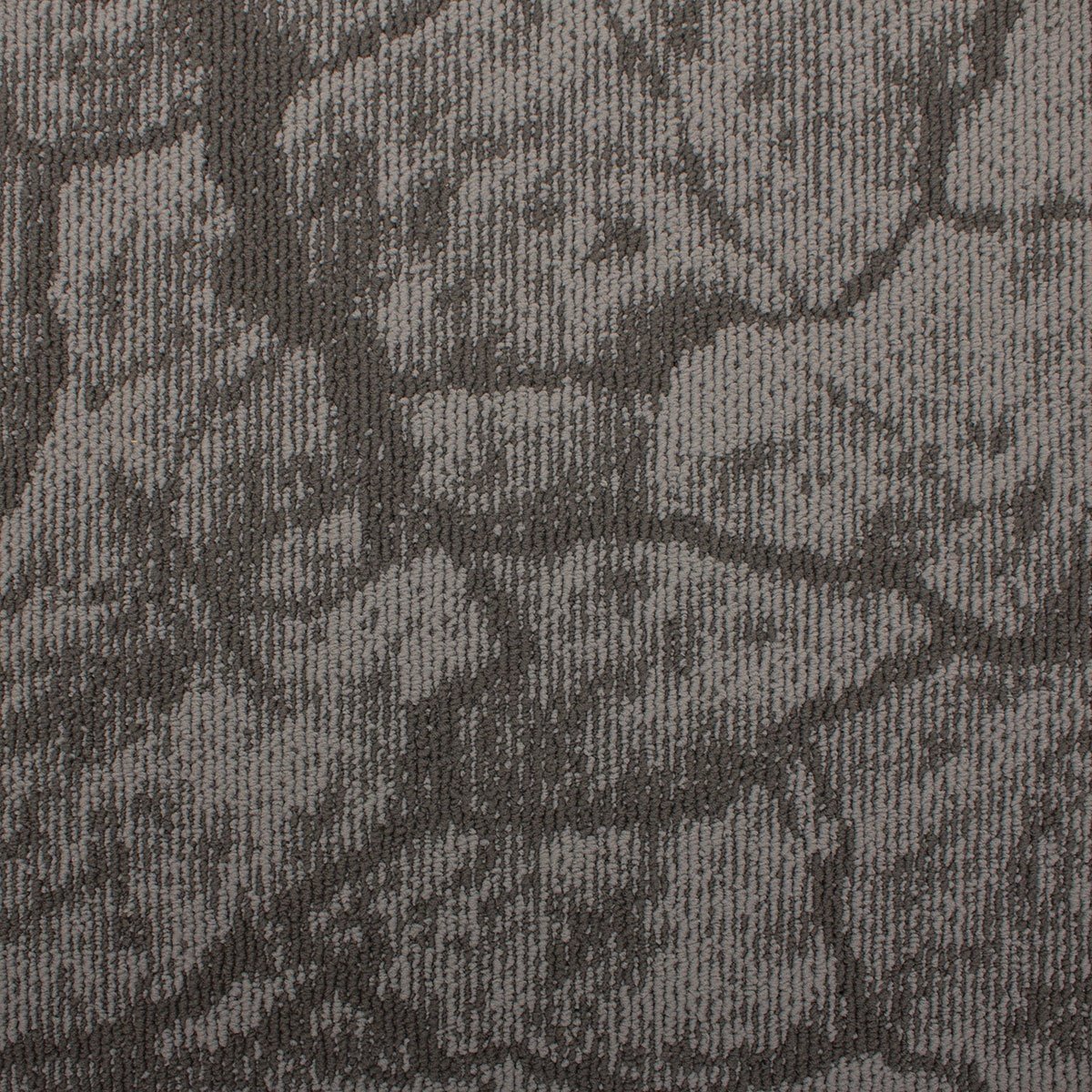 Earth - Image 7
