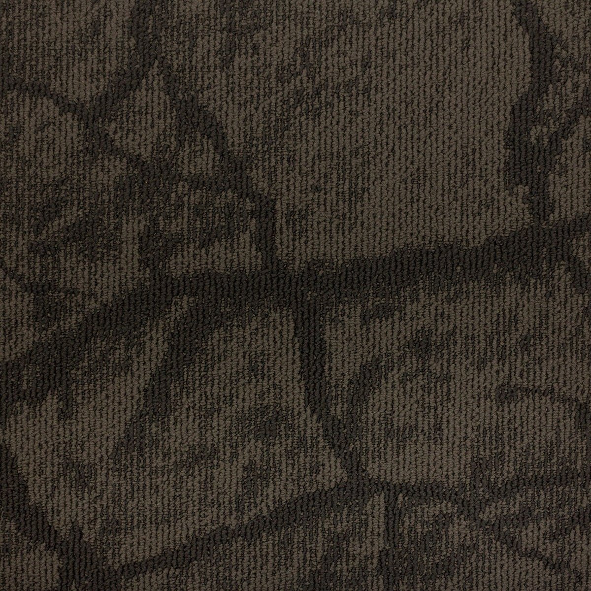 Earth - Image 6