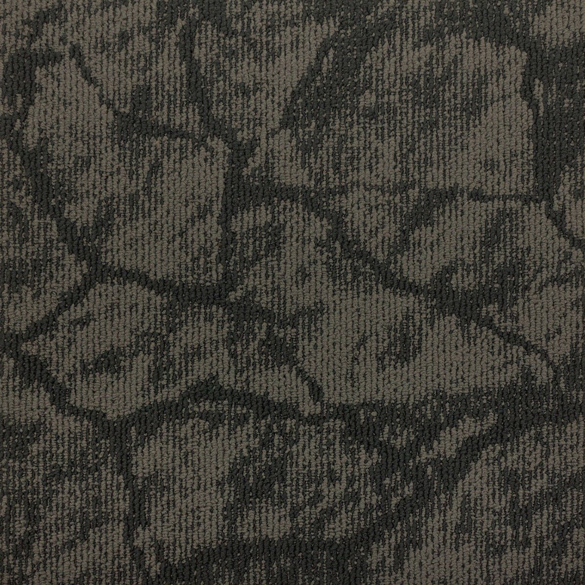 Earth - Image 5
