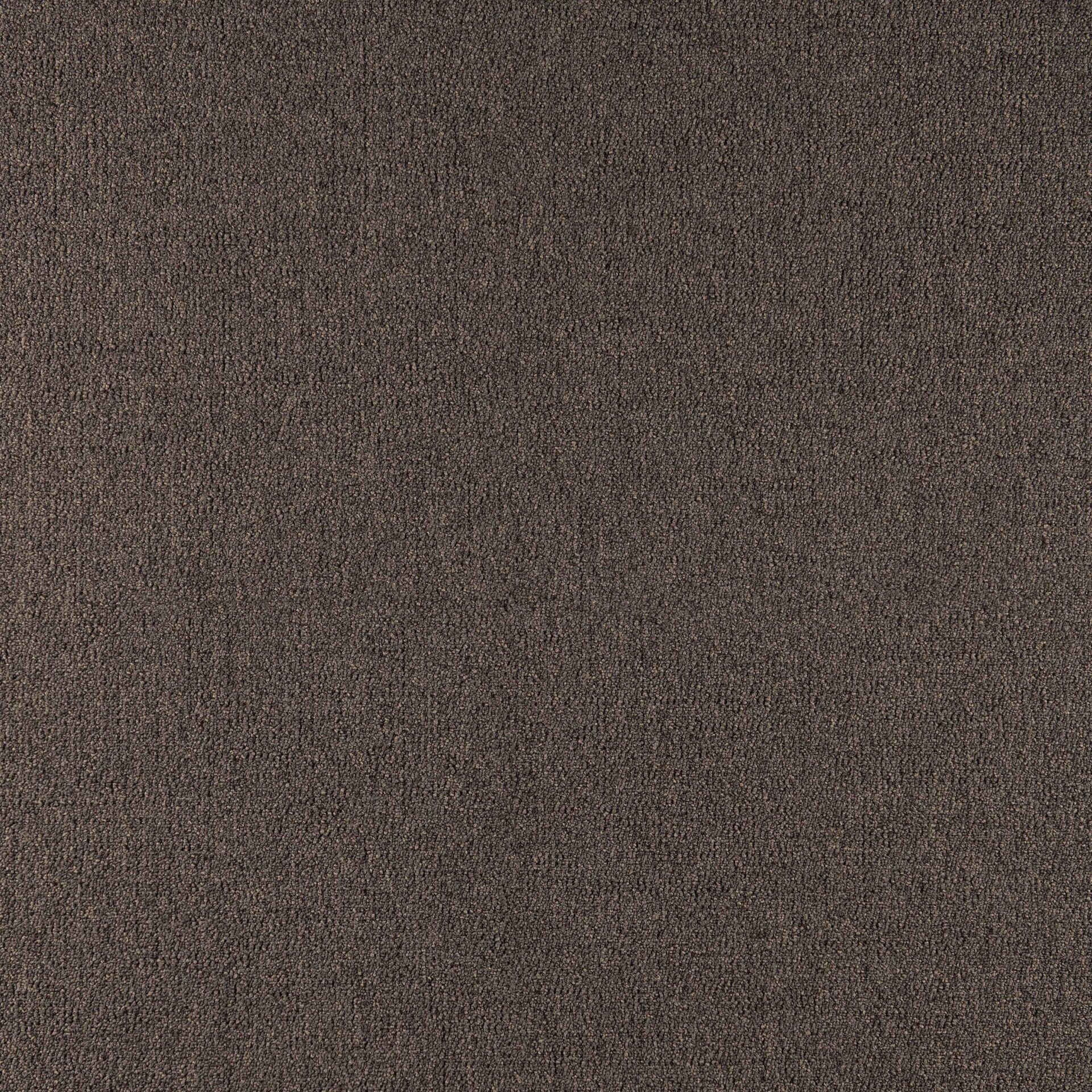 Elemental - Image 15
