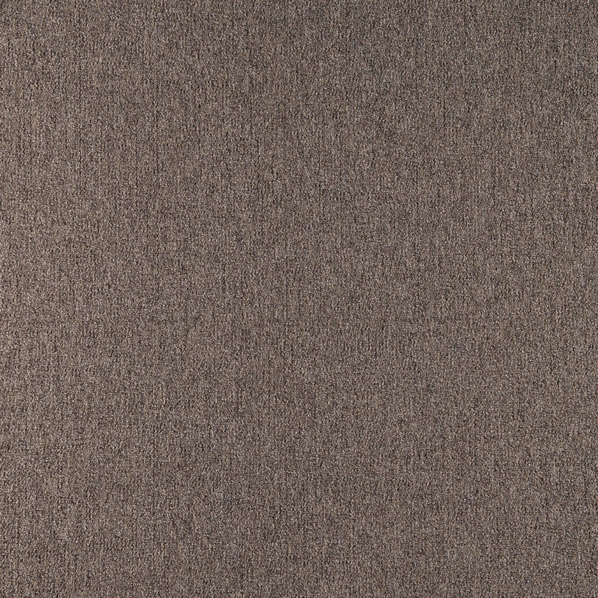 Elemental - Image 14