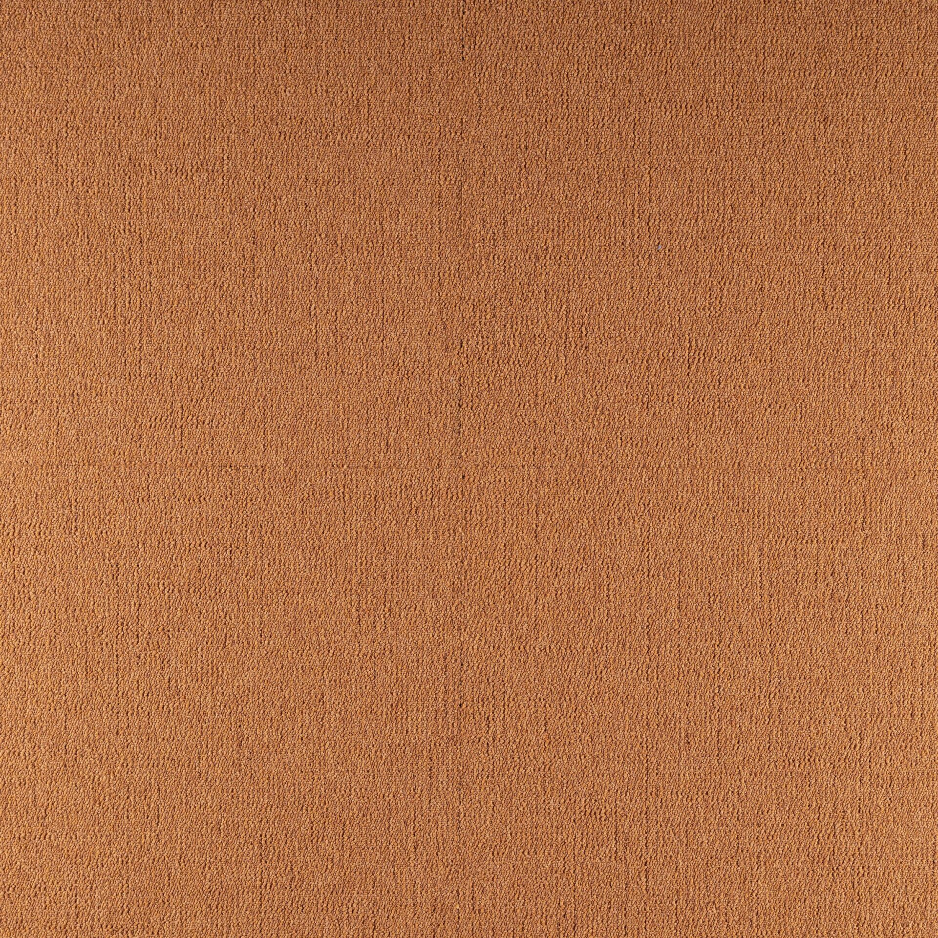 Elemental - Image 2