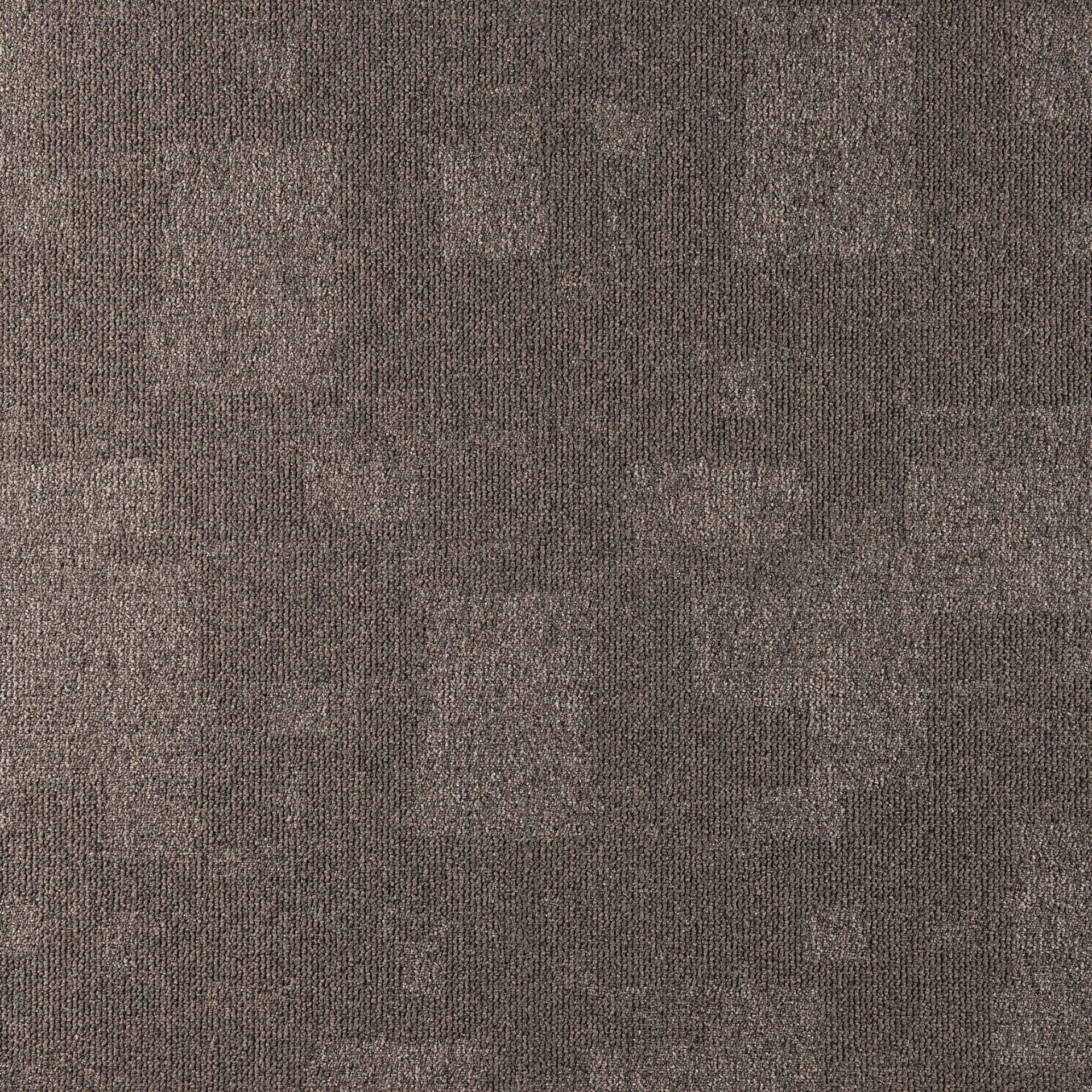 Nimbus - Image 13