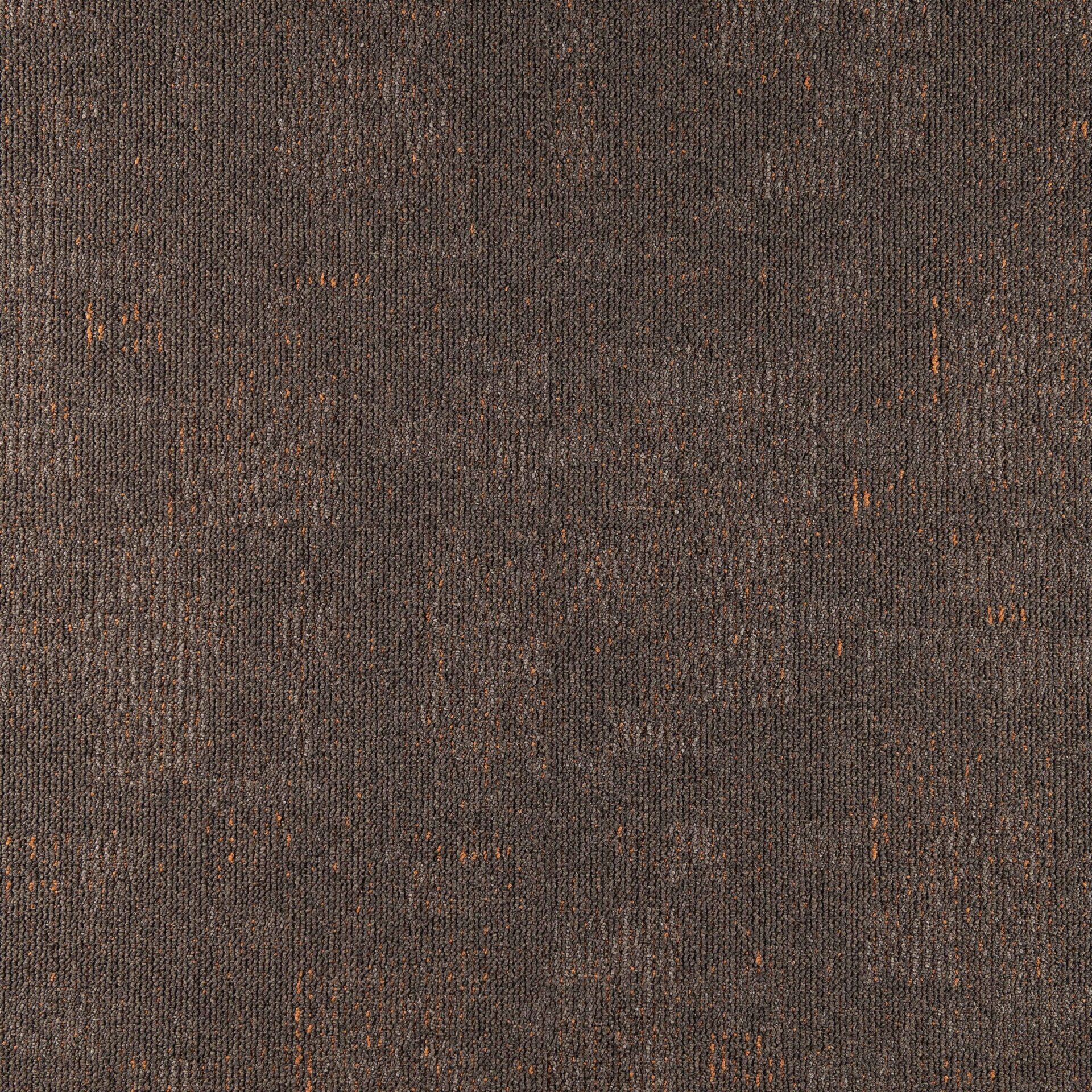 Nimbus - Image 6