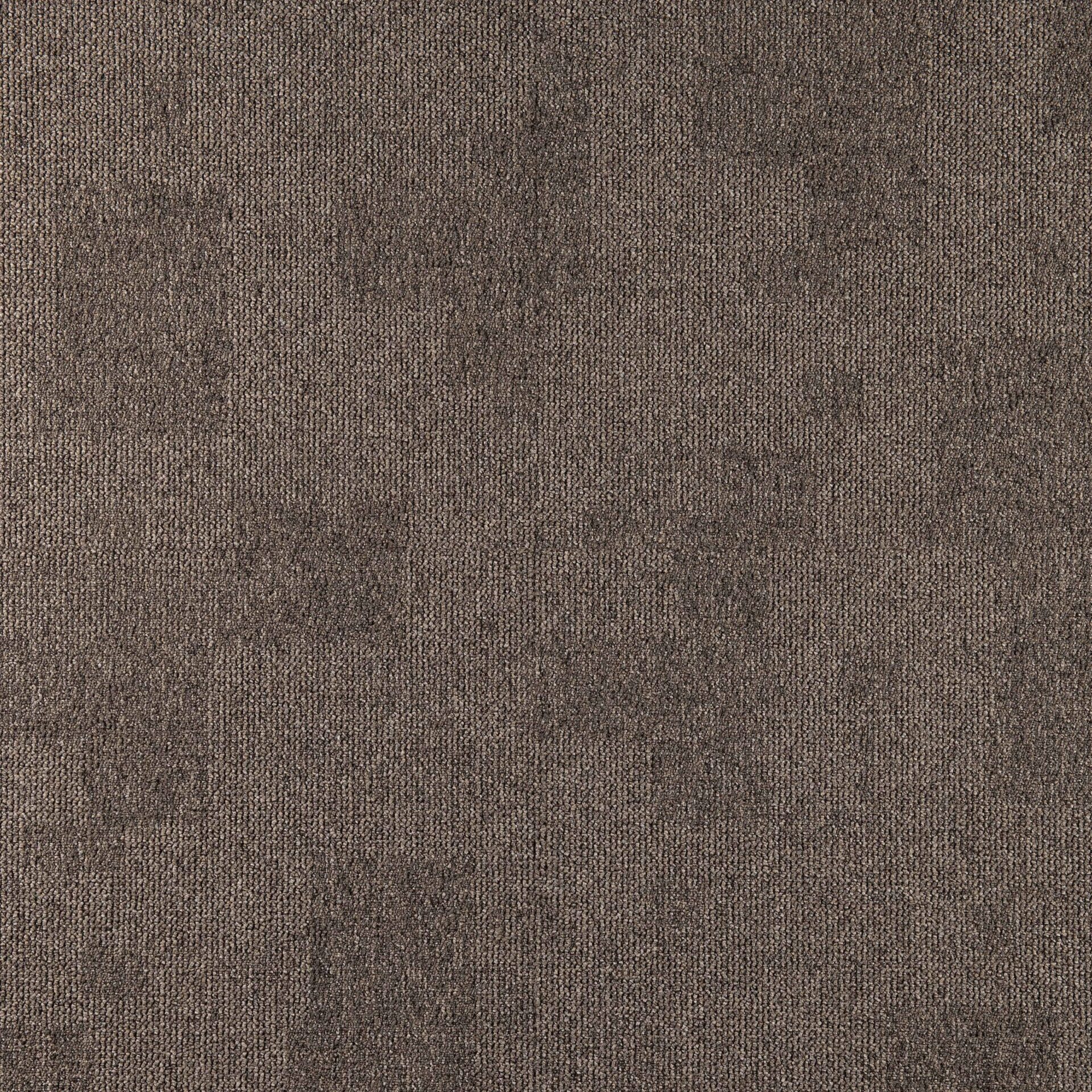 Nimbus - Image 12