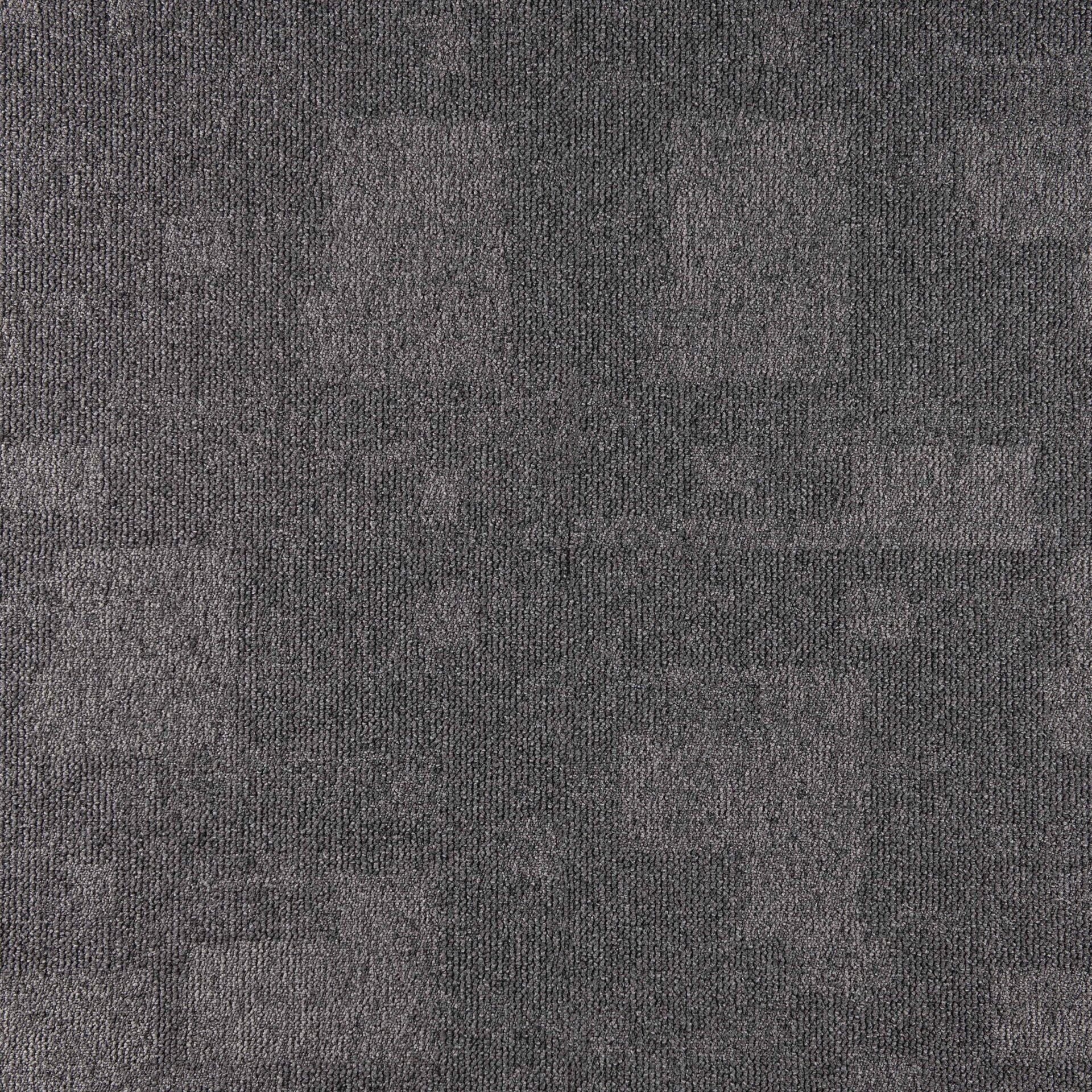 Nimbus - Image 2