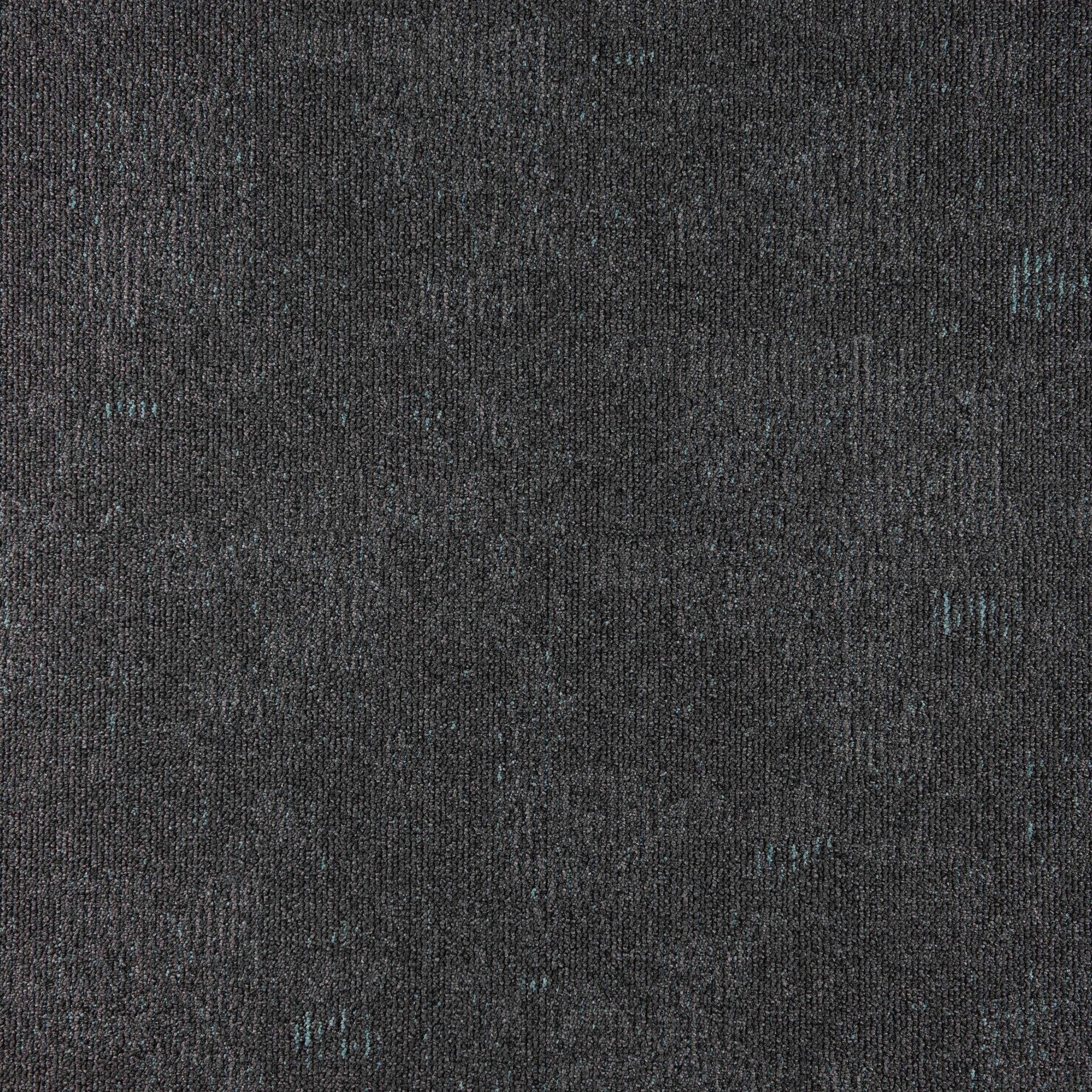Nimbus - Image 4