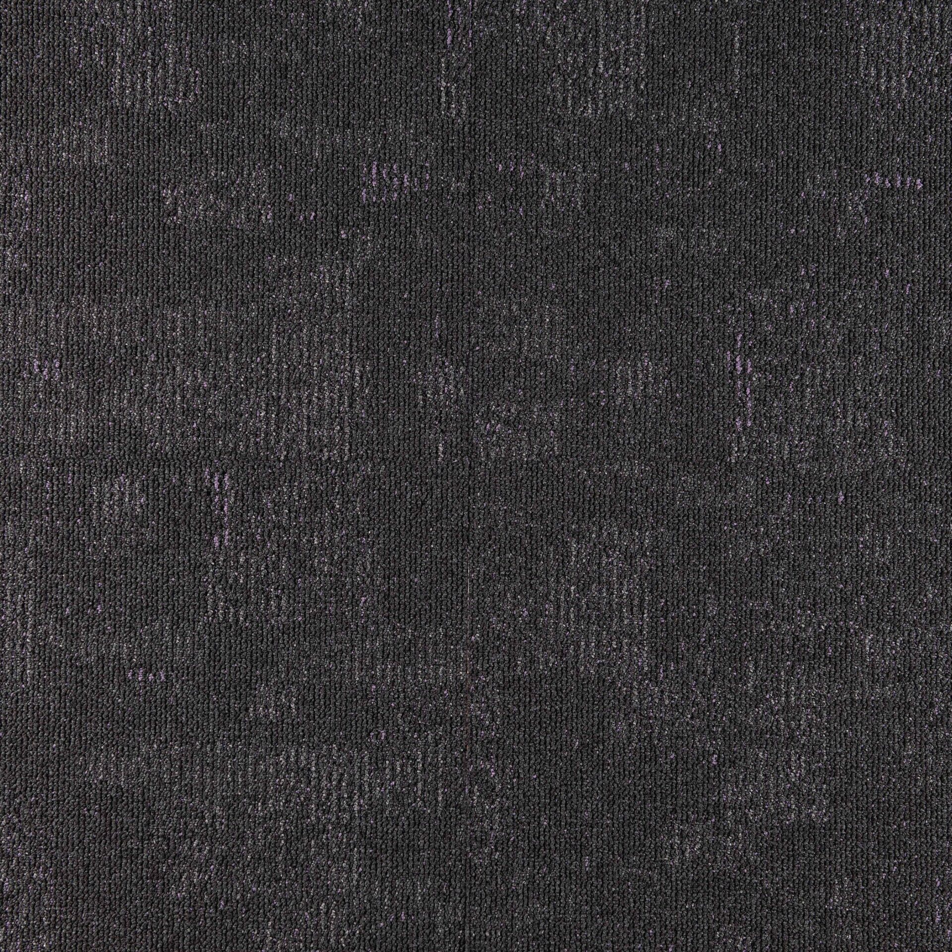 Nimbus - Image 3