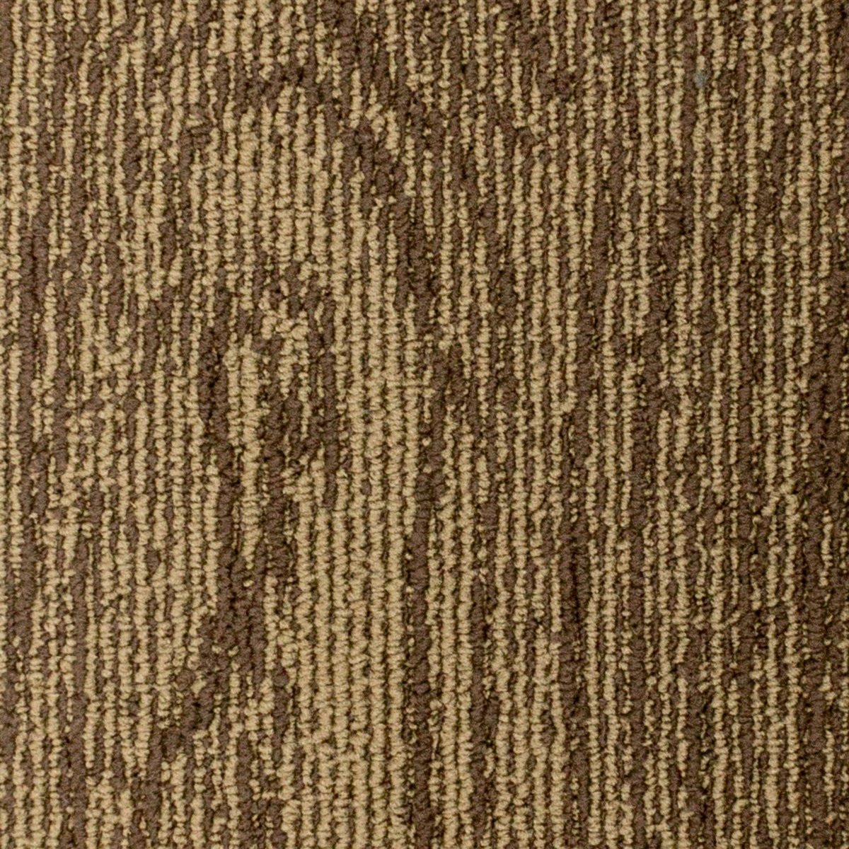 Oak - Image 4