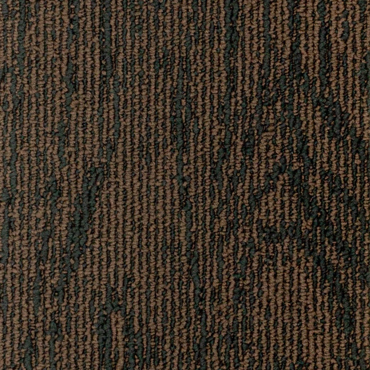 Oak - Image 7