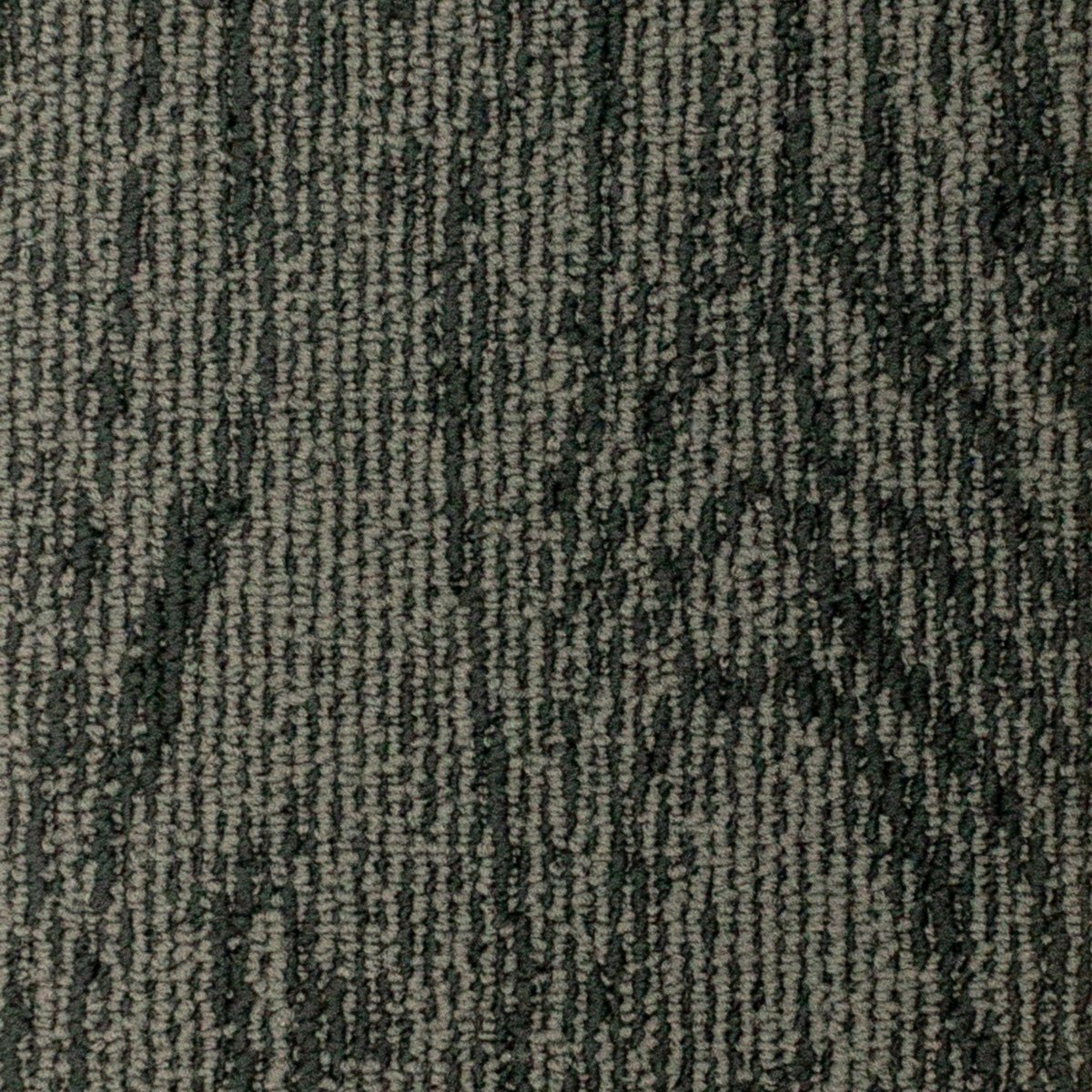 Oak - Image 3