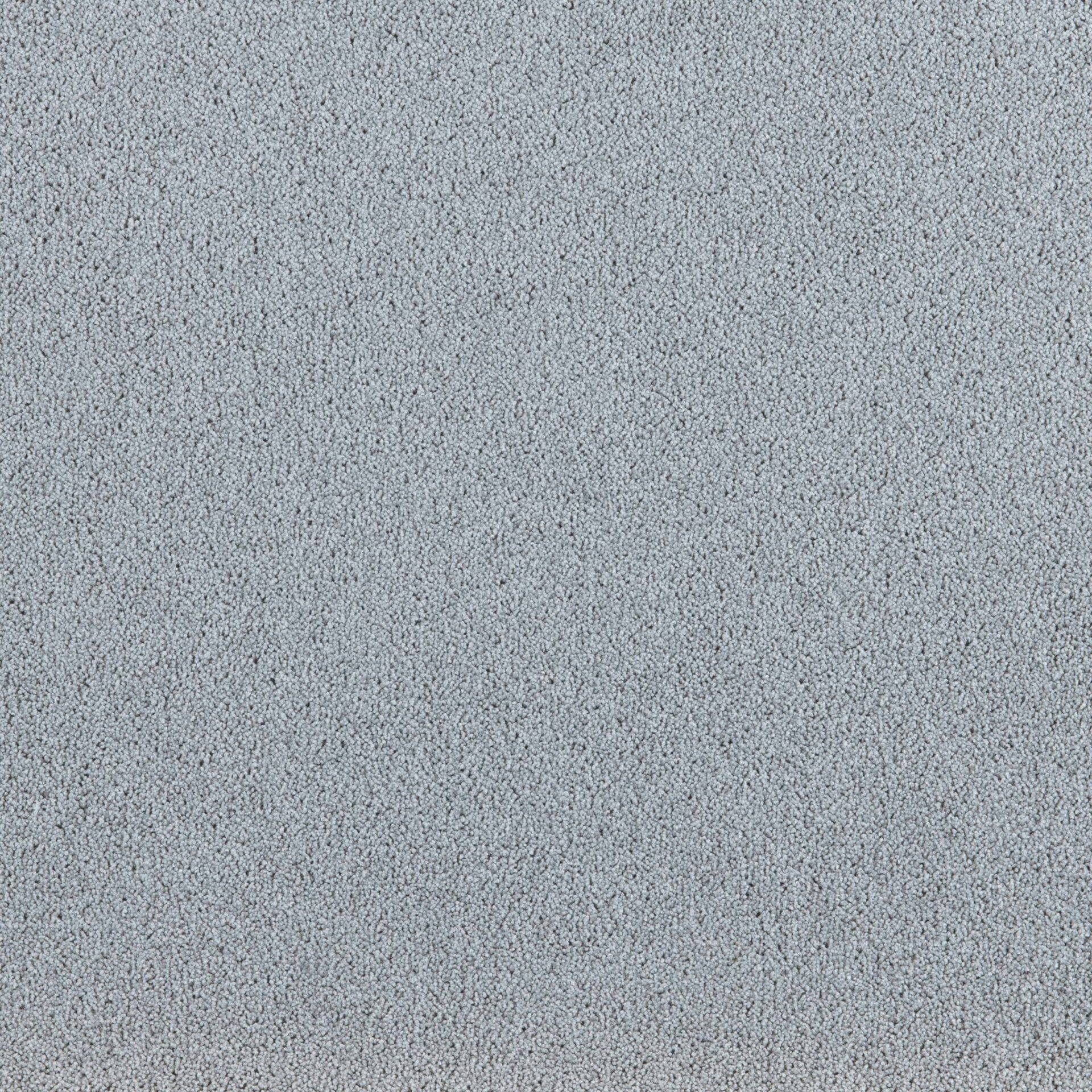 President E - Image 2