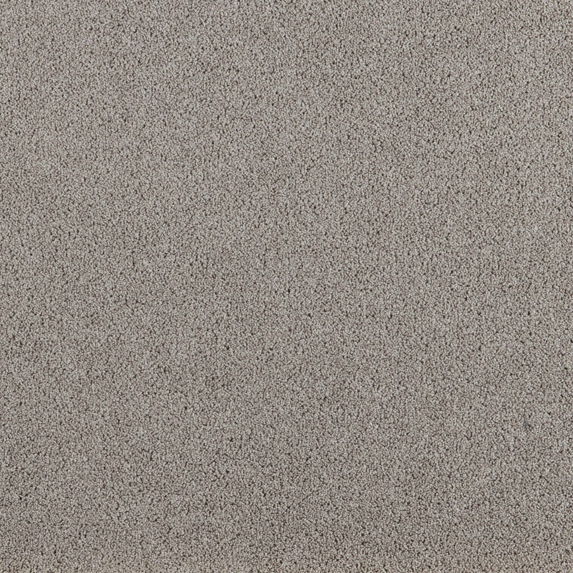 President E - Image 18