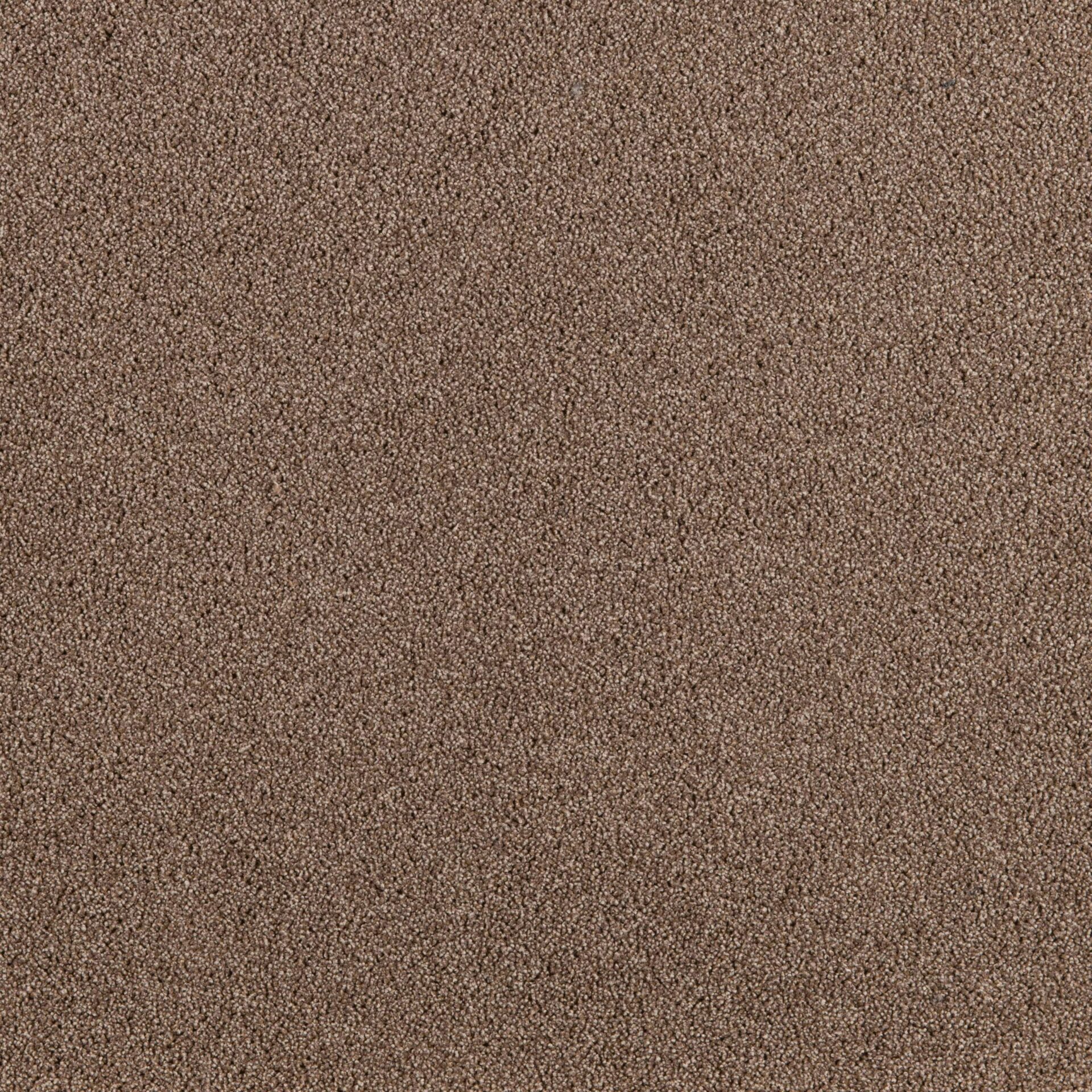 President E - Image 17