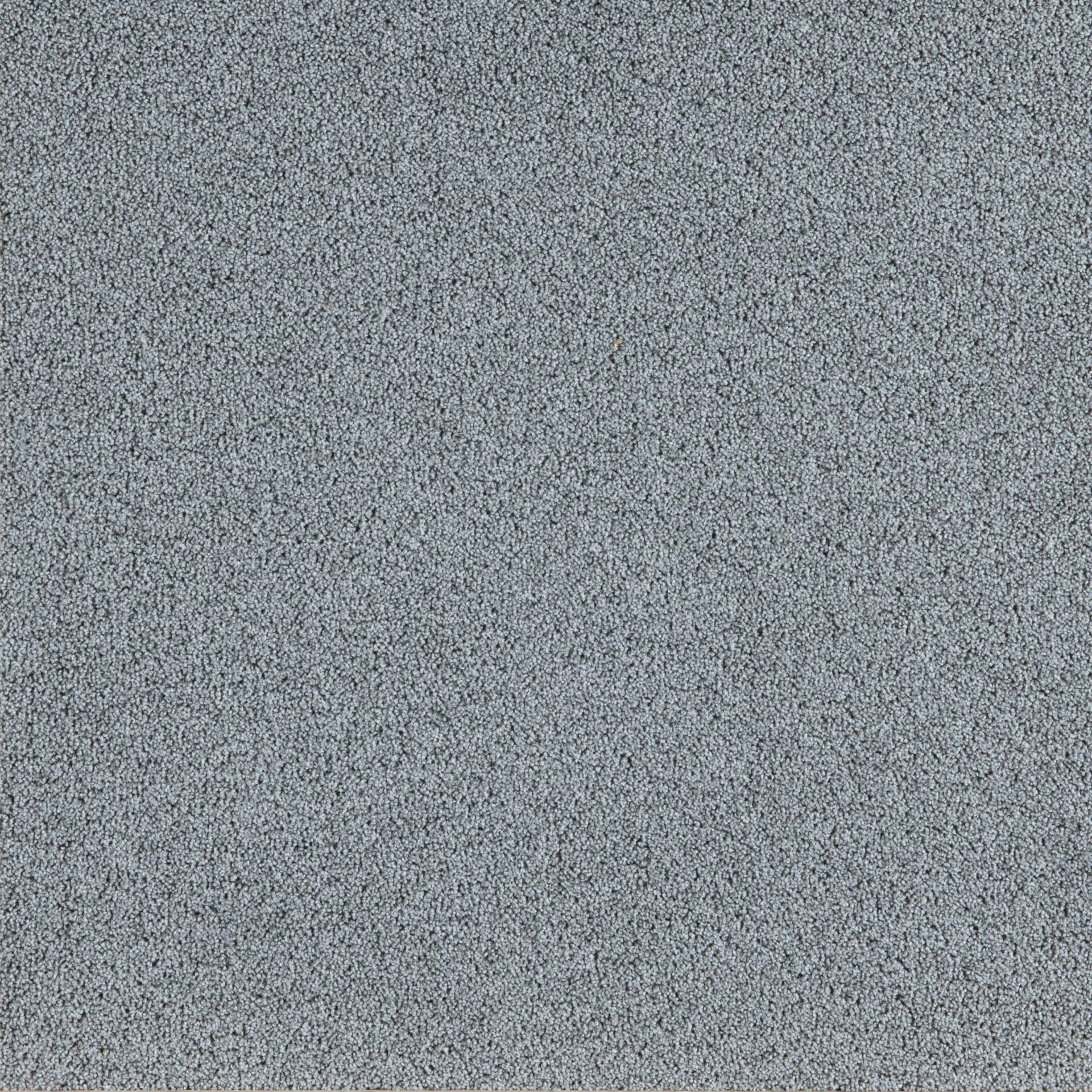 President E - Image 16