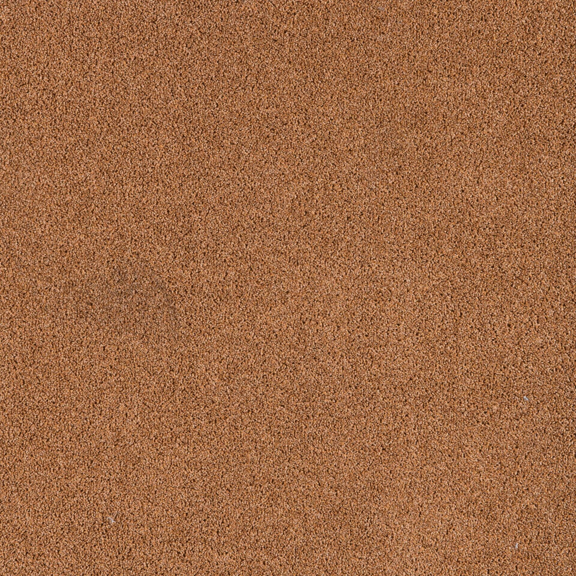 President E - Image 3