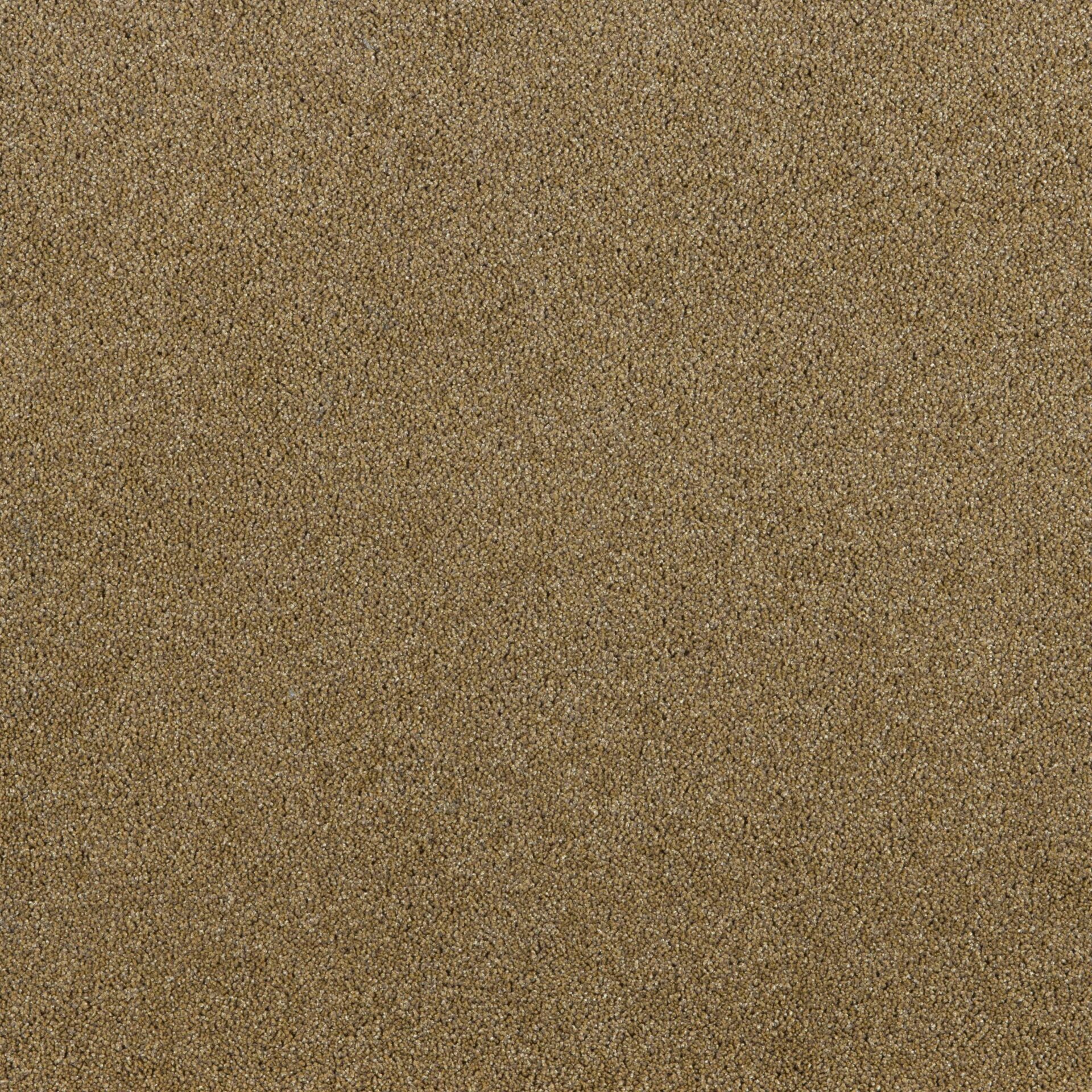 President E - Image 4