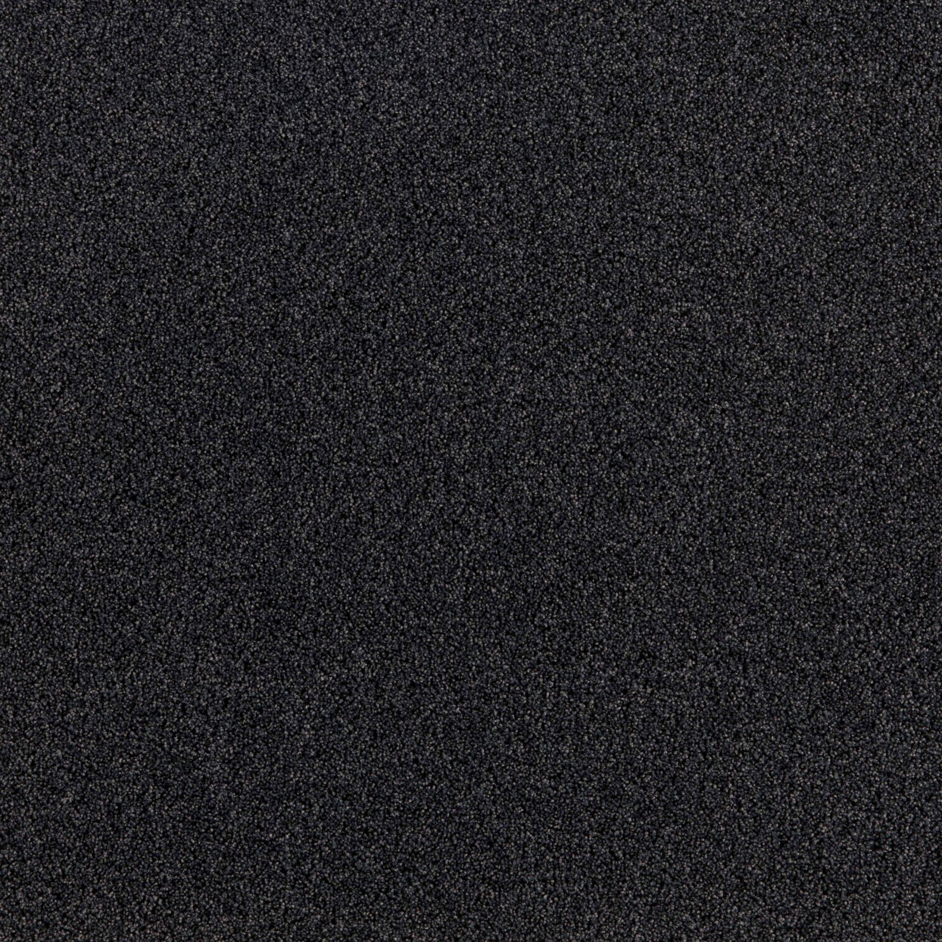 President E - Image 9