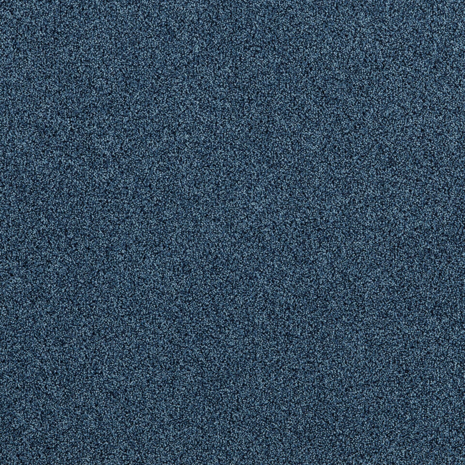 President E - Image 7