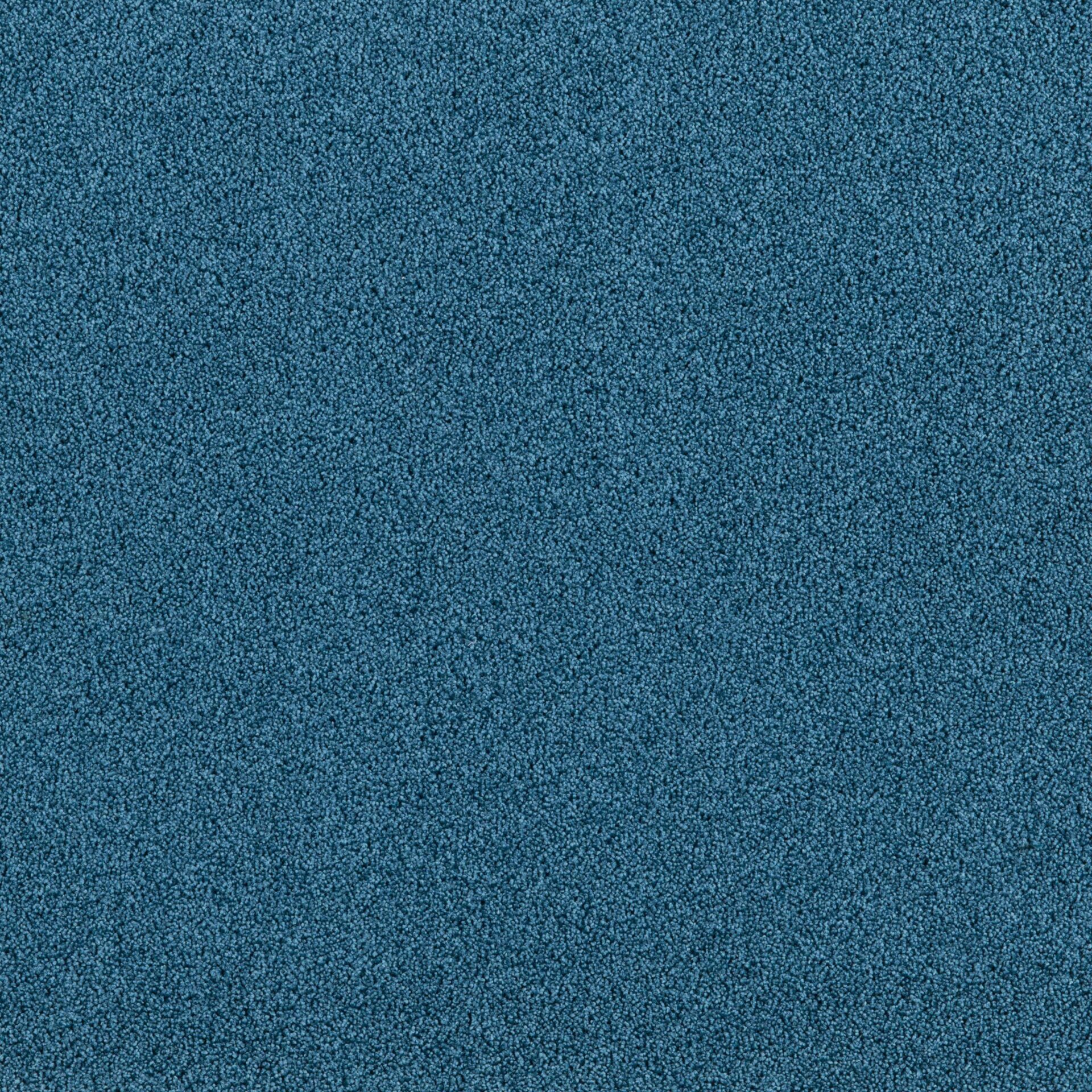 President E - Image 6