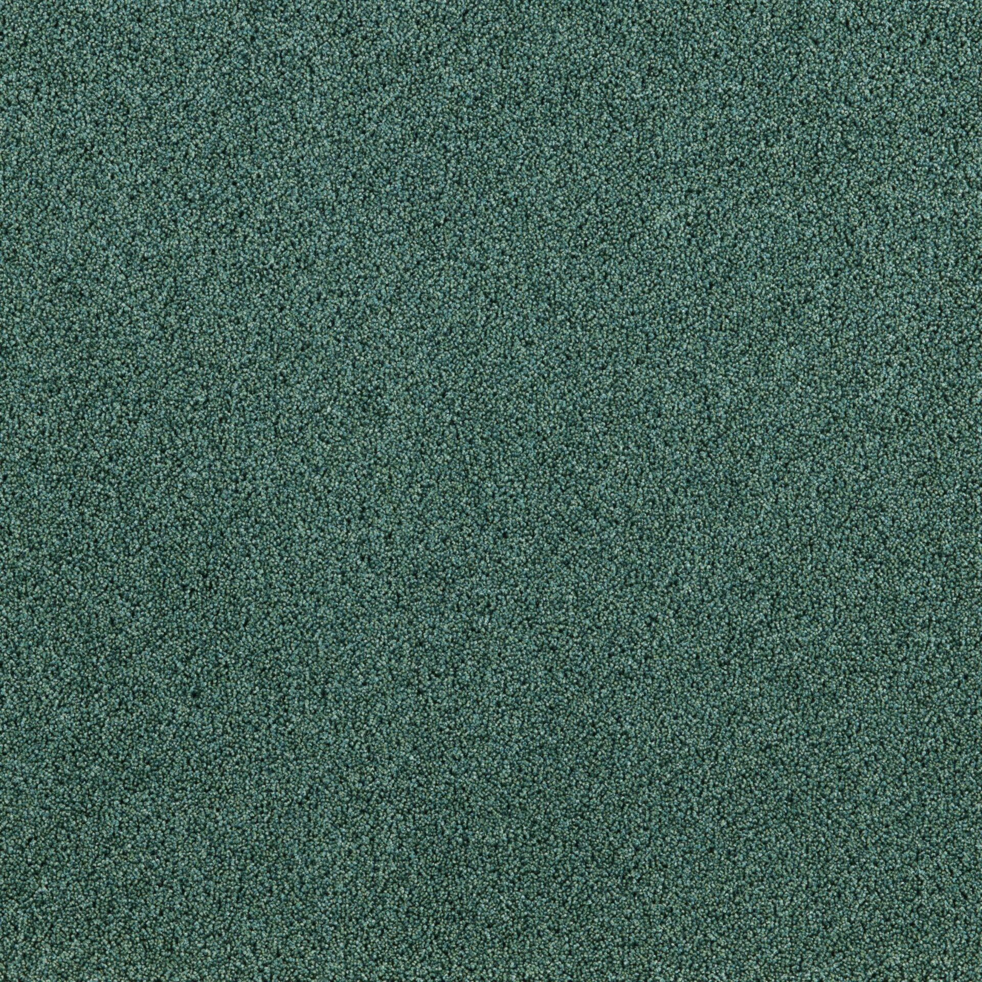 President E - Image 5