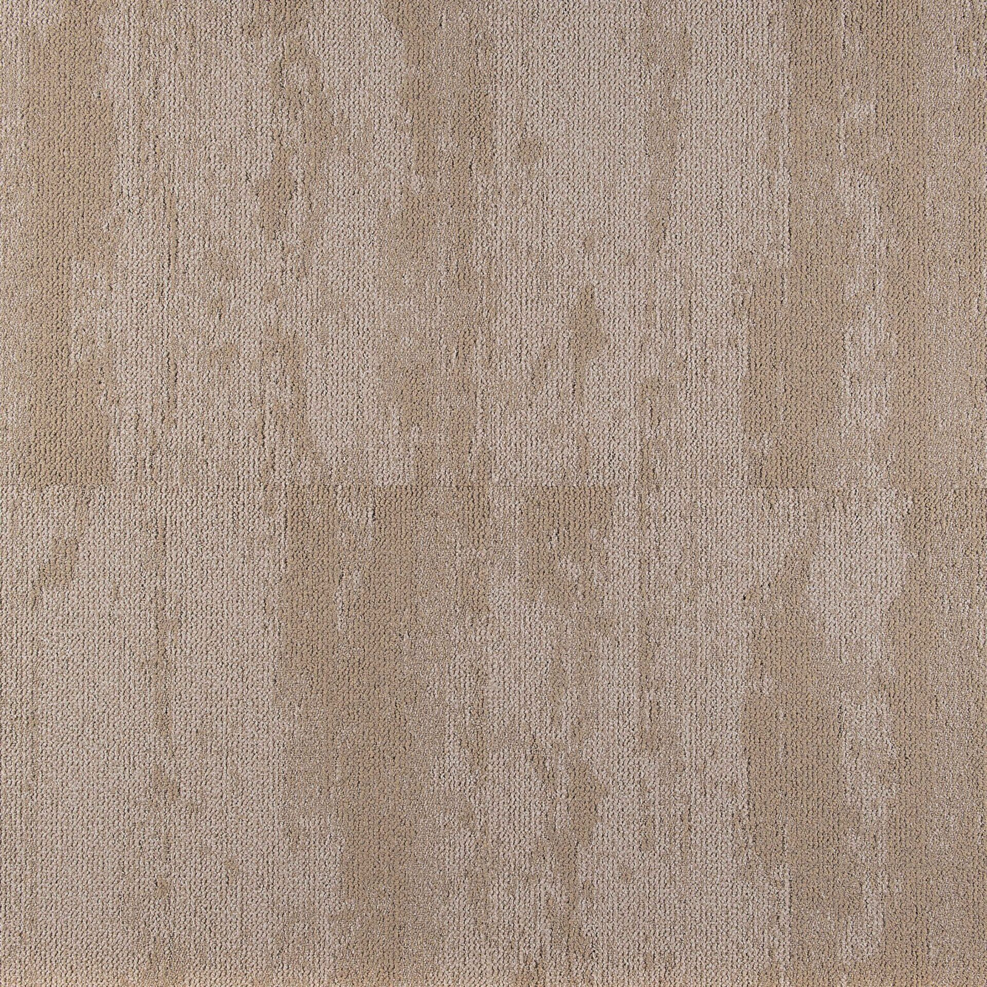 Shoreline - Image 3