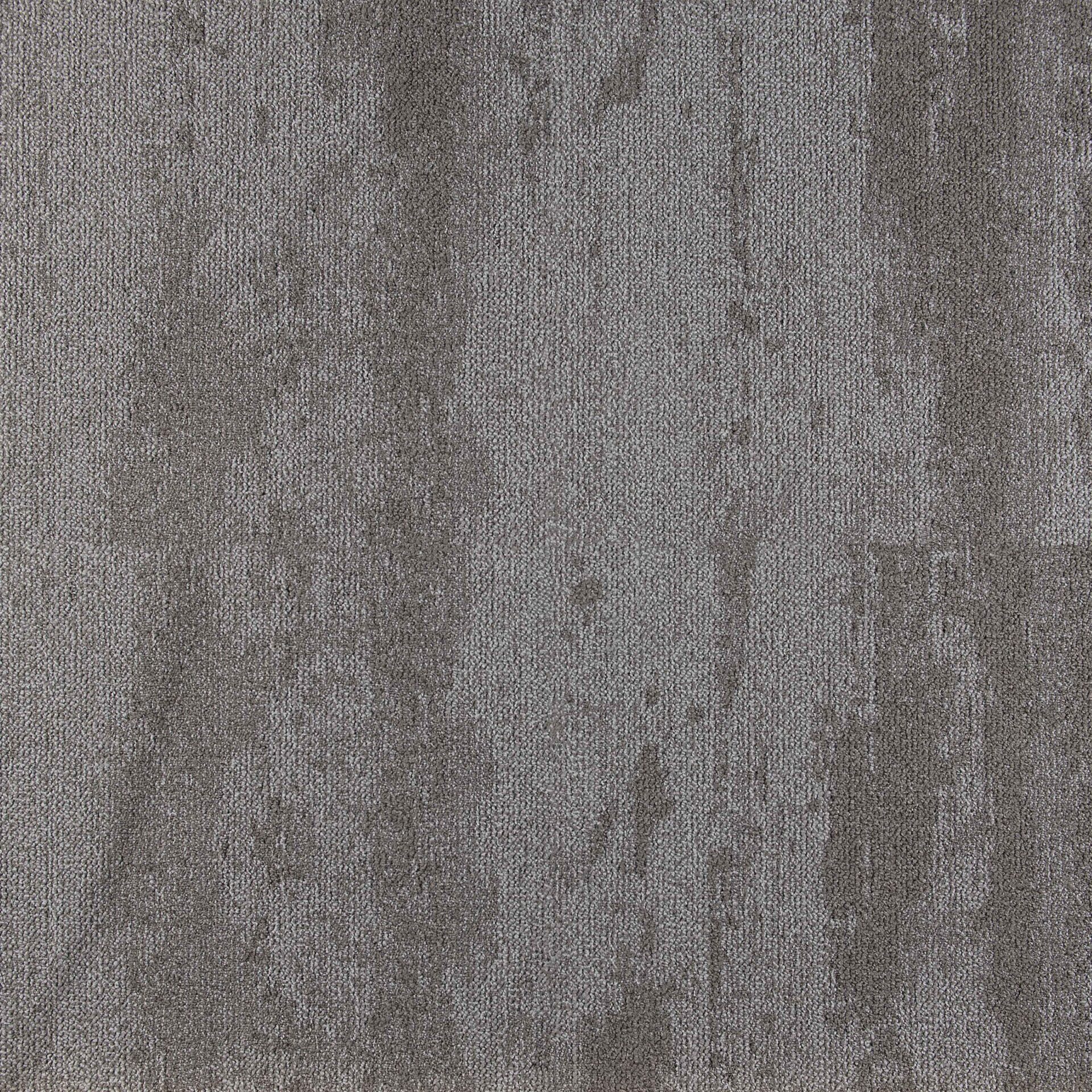 Shoreline - Image 12