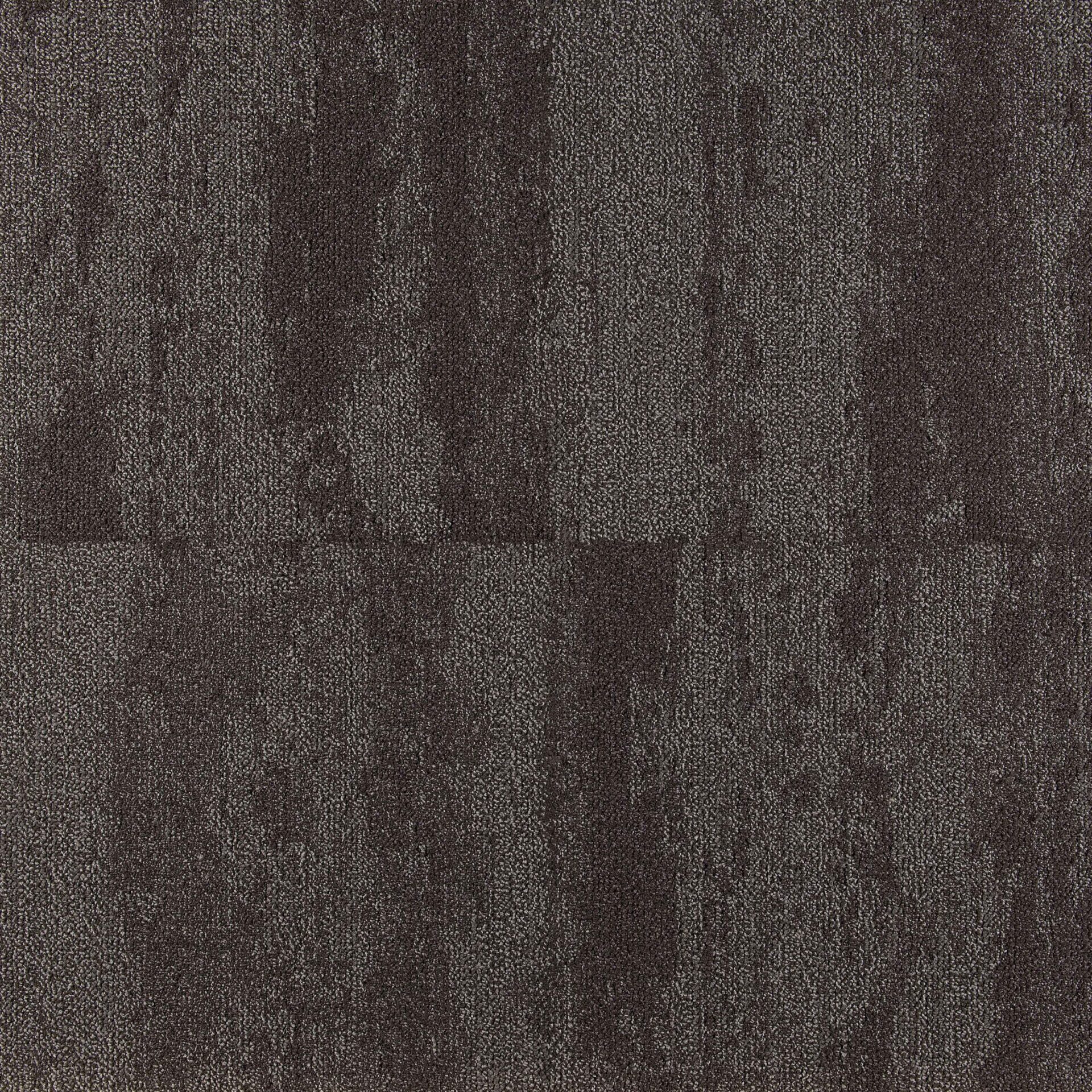 Shoreline - Image 11