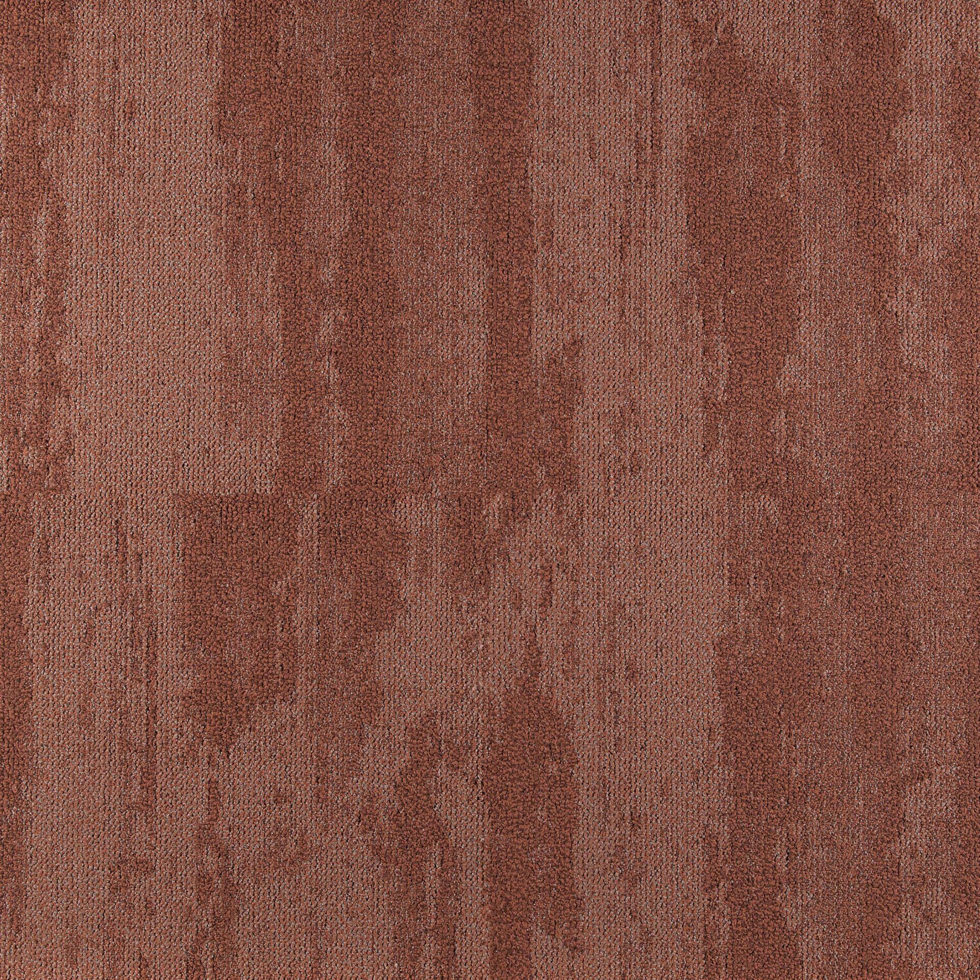 Shoreline - Image 2