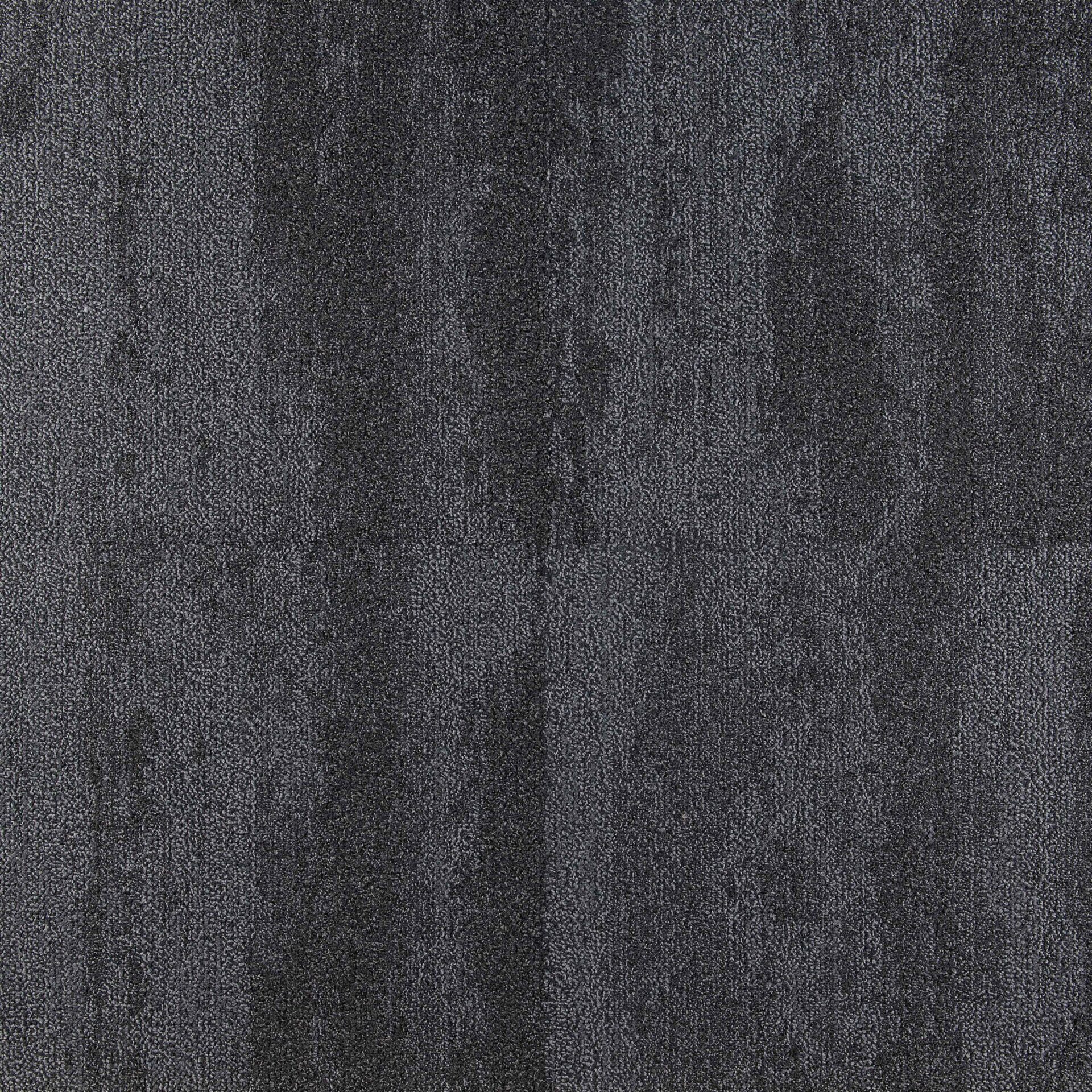 Shoreline - Image 7