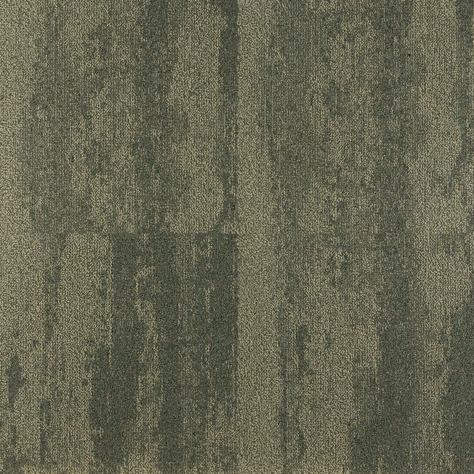 Shoreline - Image 4