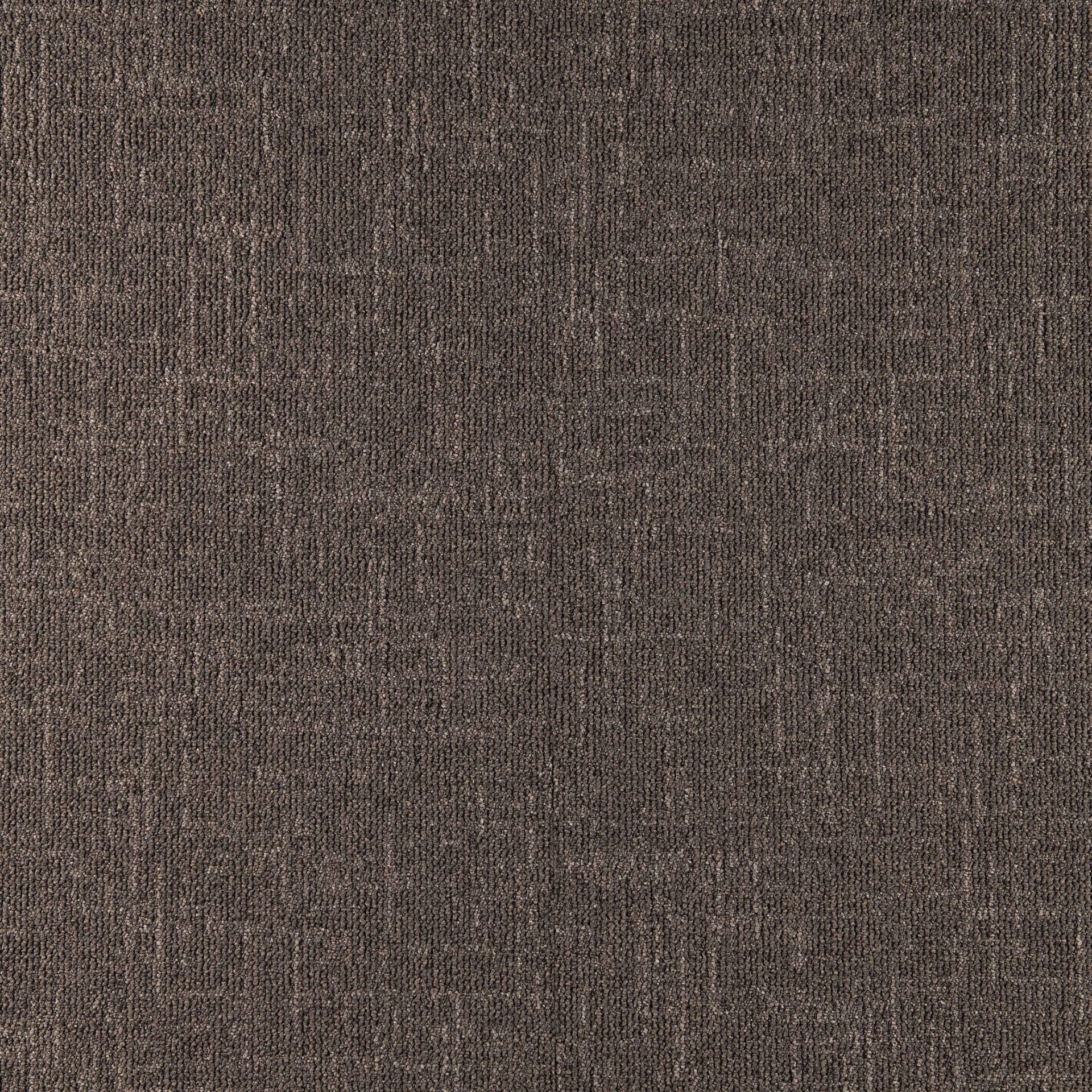 Sienna - Image 18