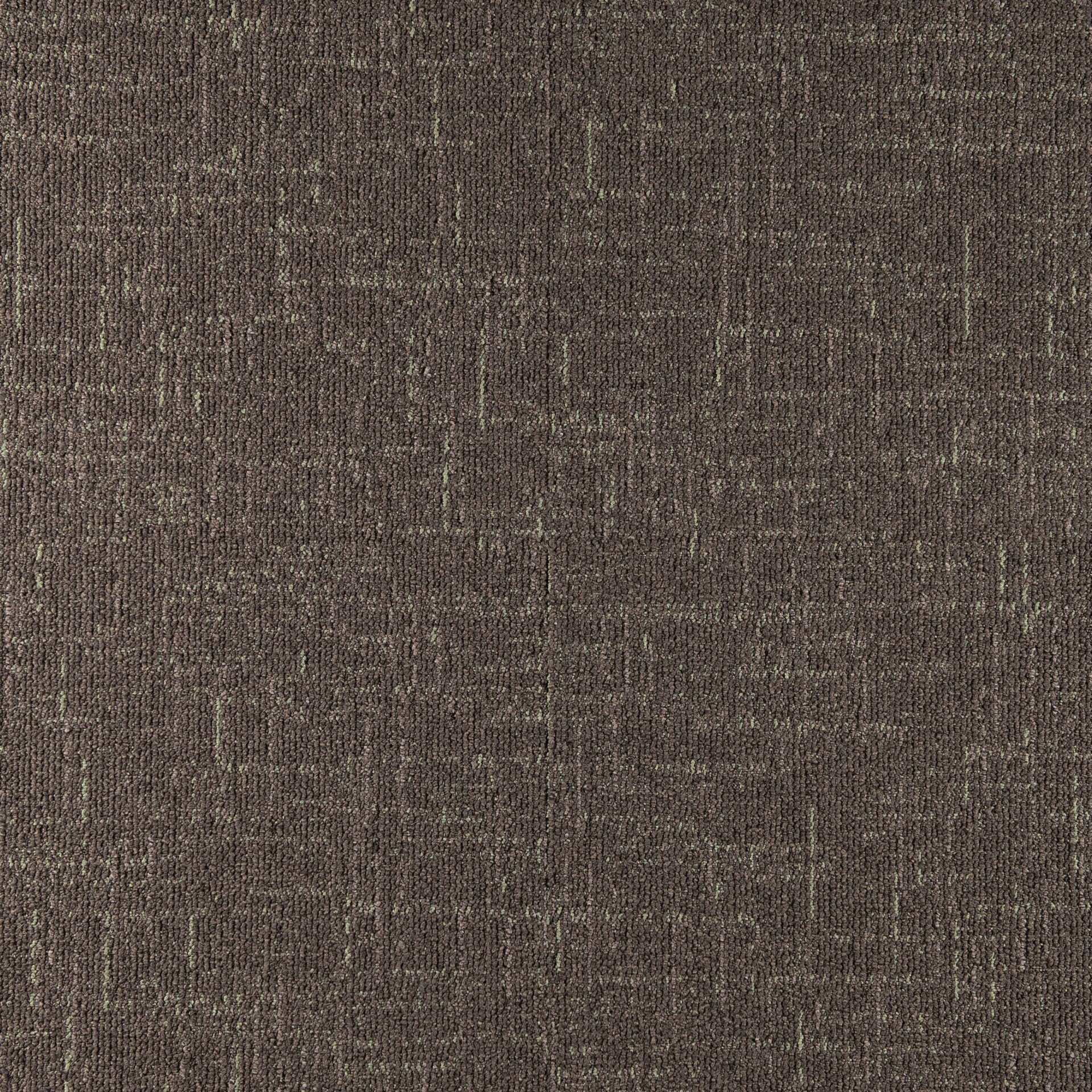 Sienna - Image 8
