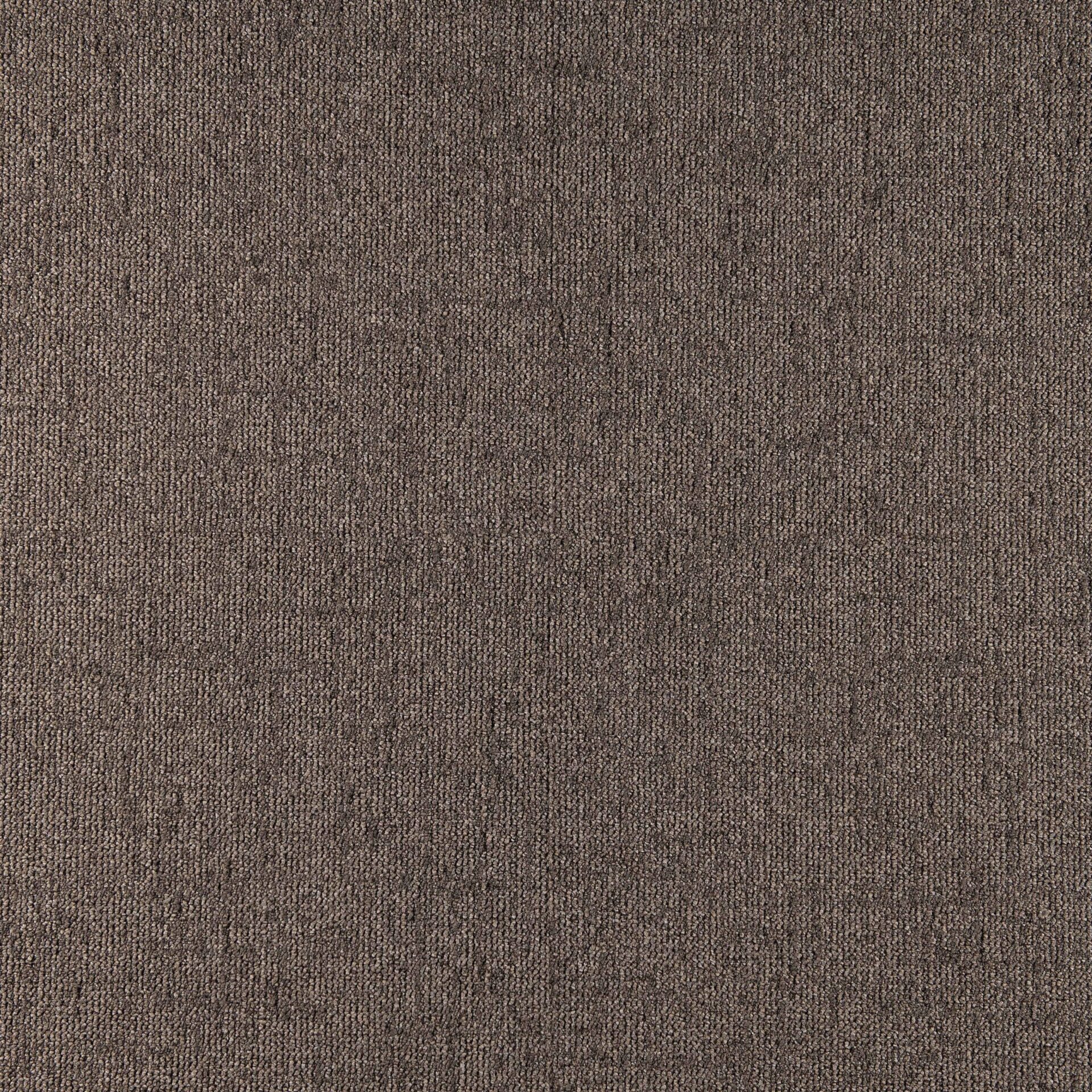 Sienna - Image 17