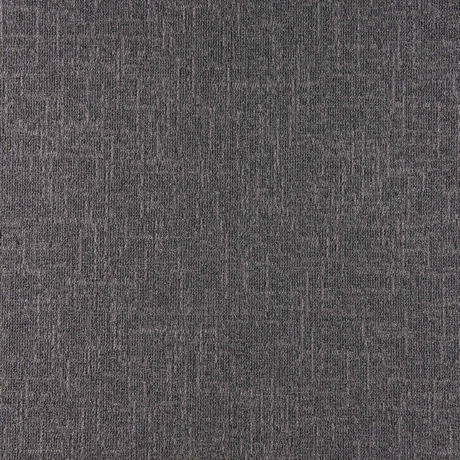 Sienna - Image 15