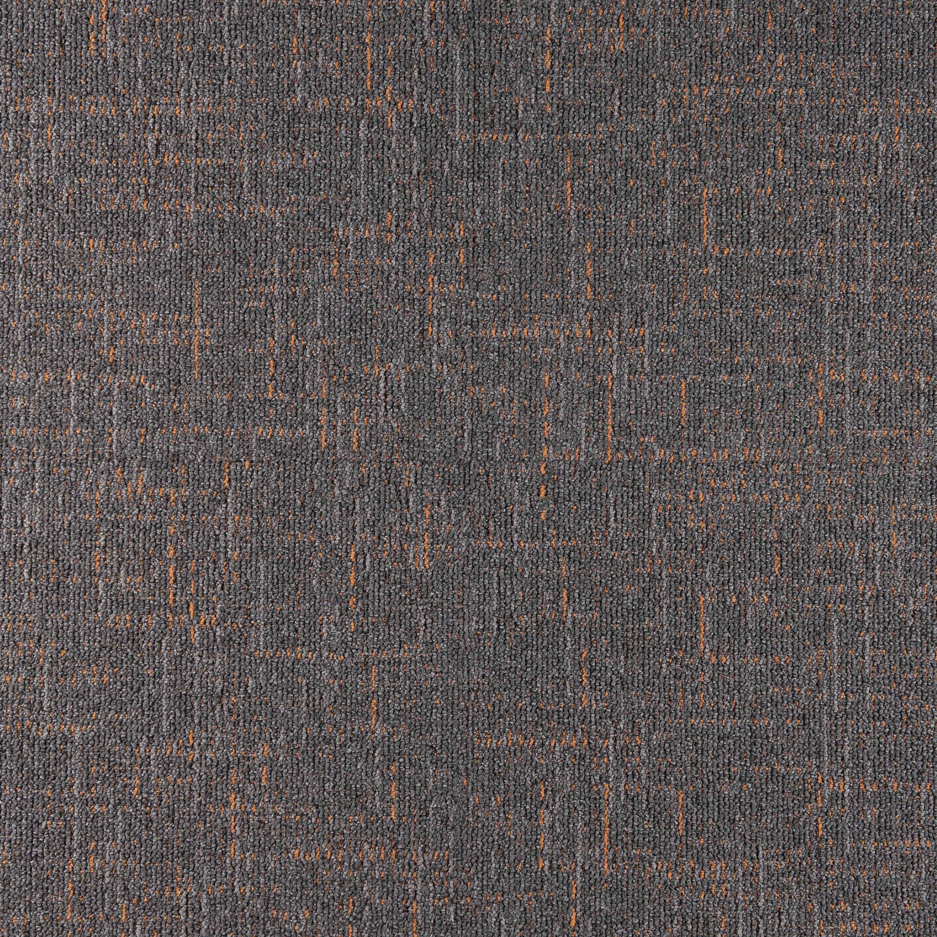 Sienna - Image 2