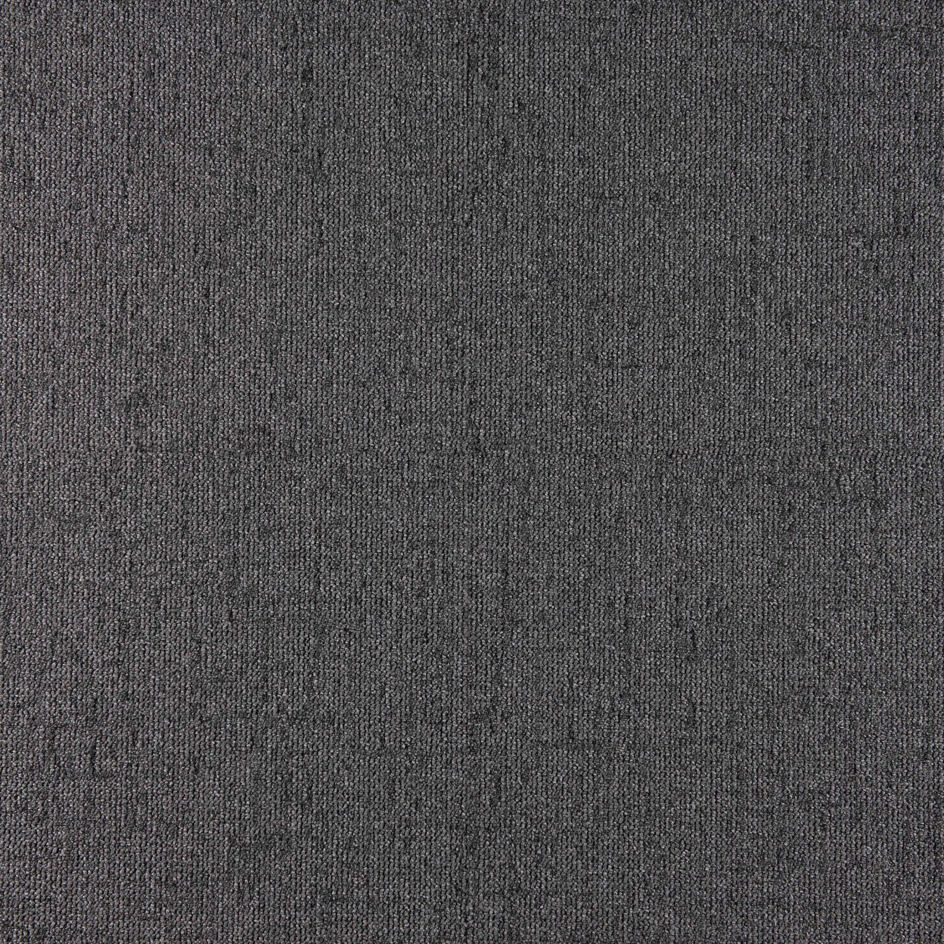 Sienna - Image 14