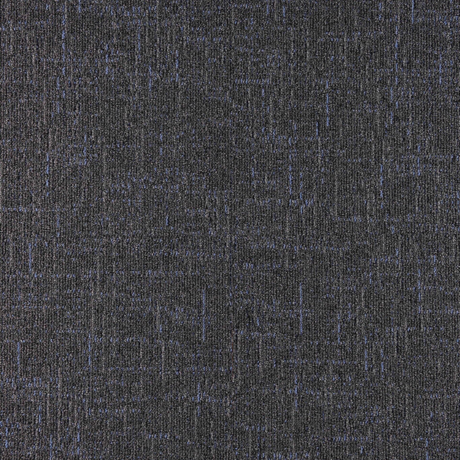 Sienna - Image 6