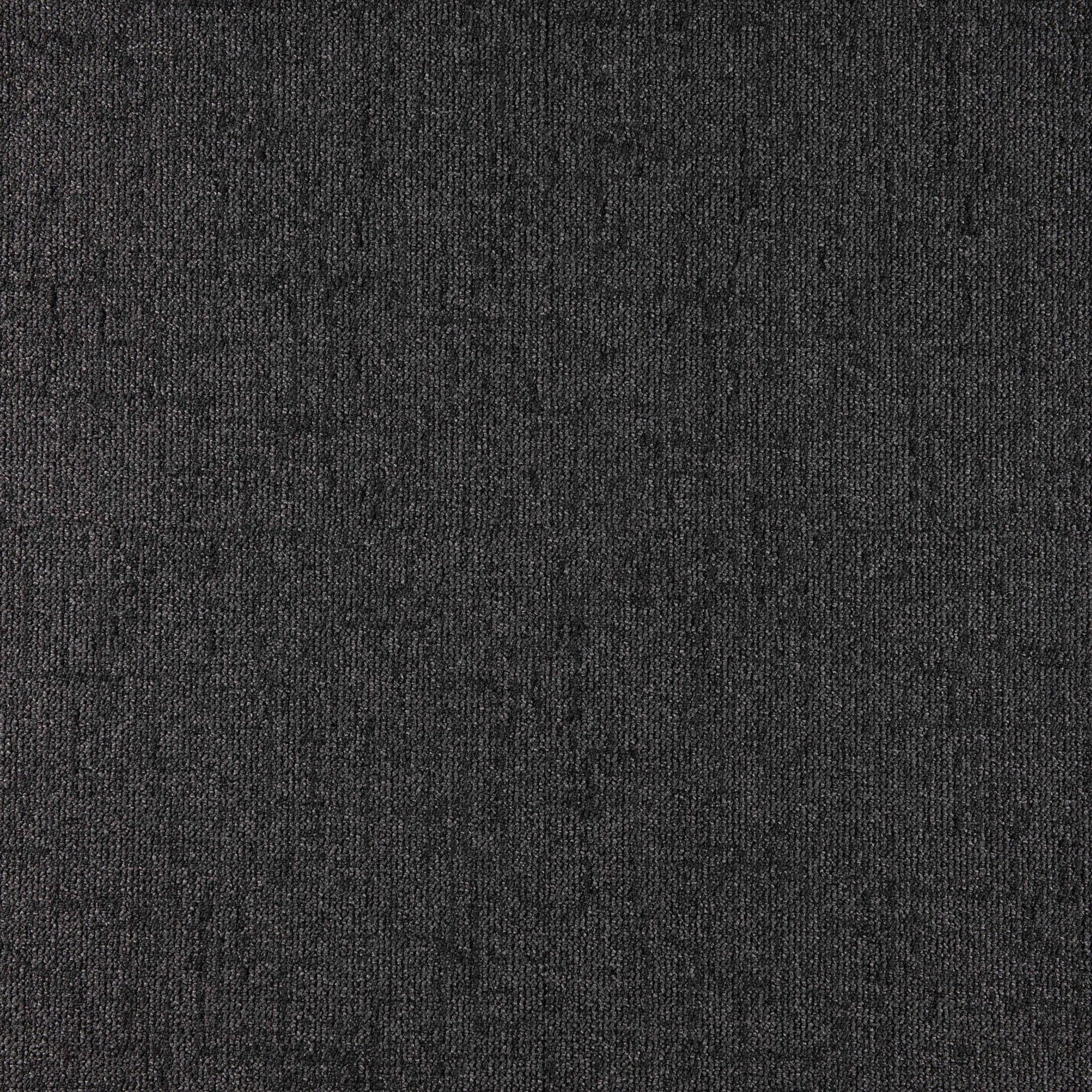 Sienna - Image 13