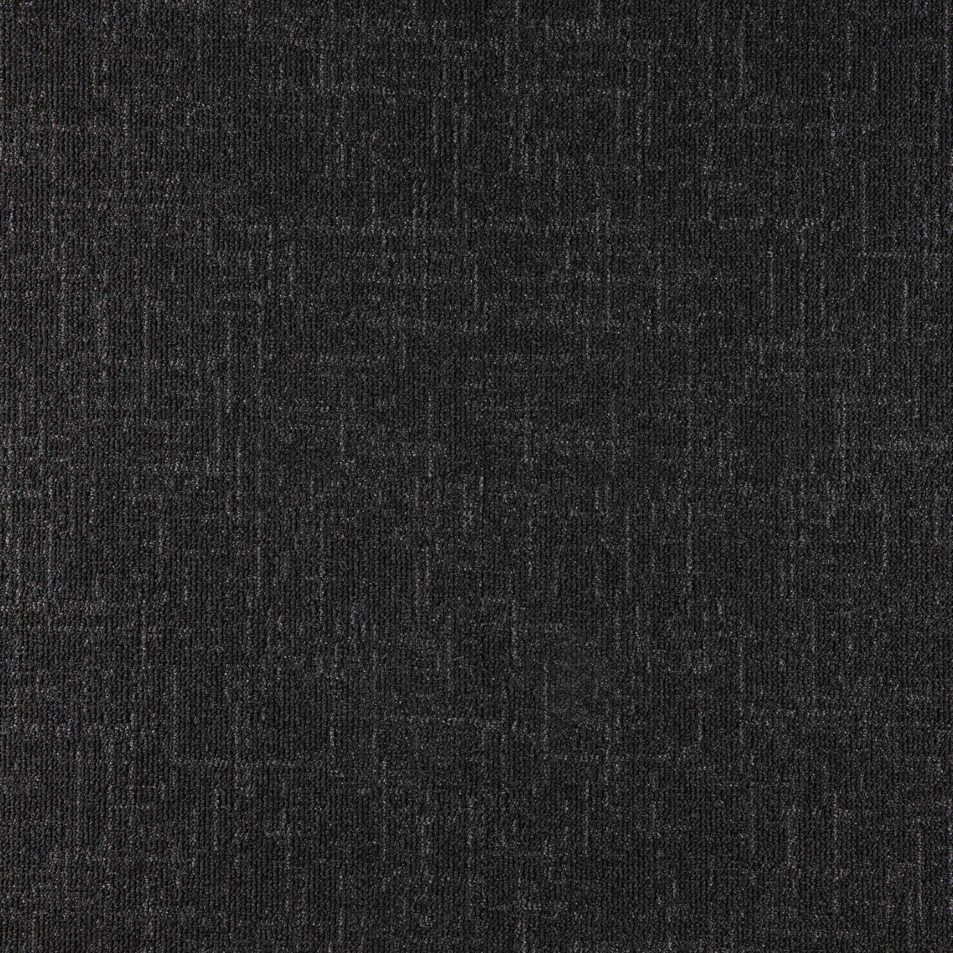 Sienna - Image 12