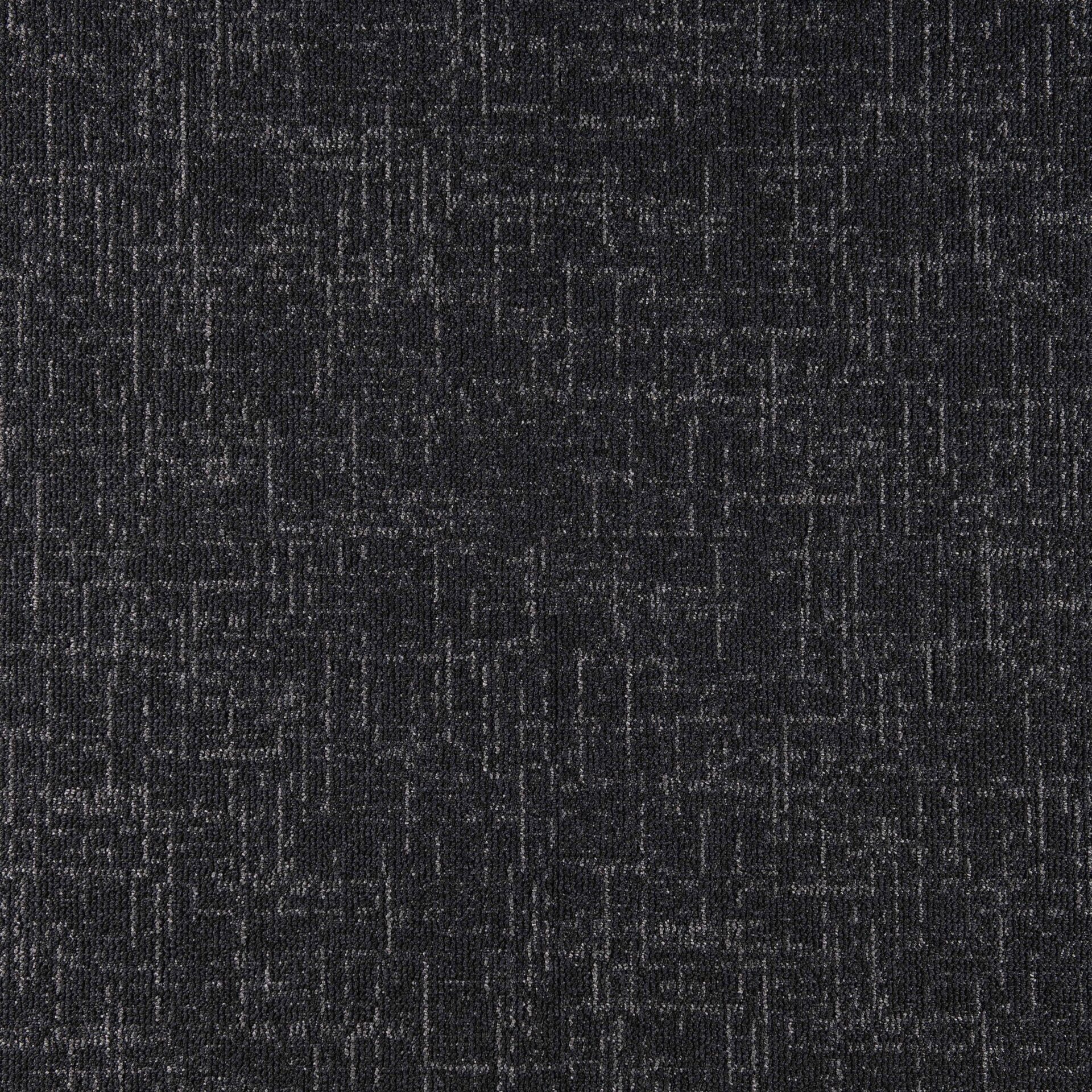 Sienna - Image 11