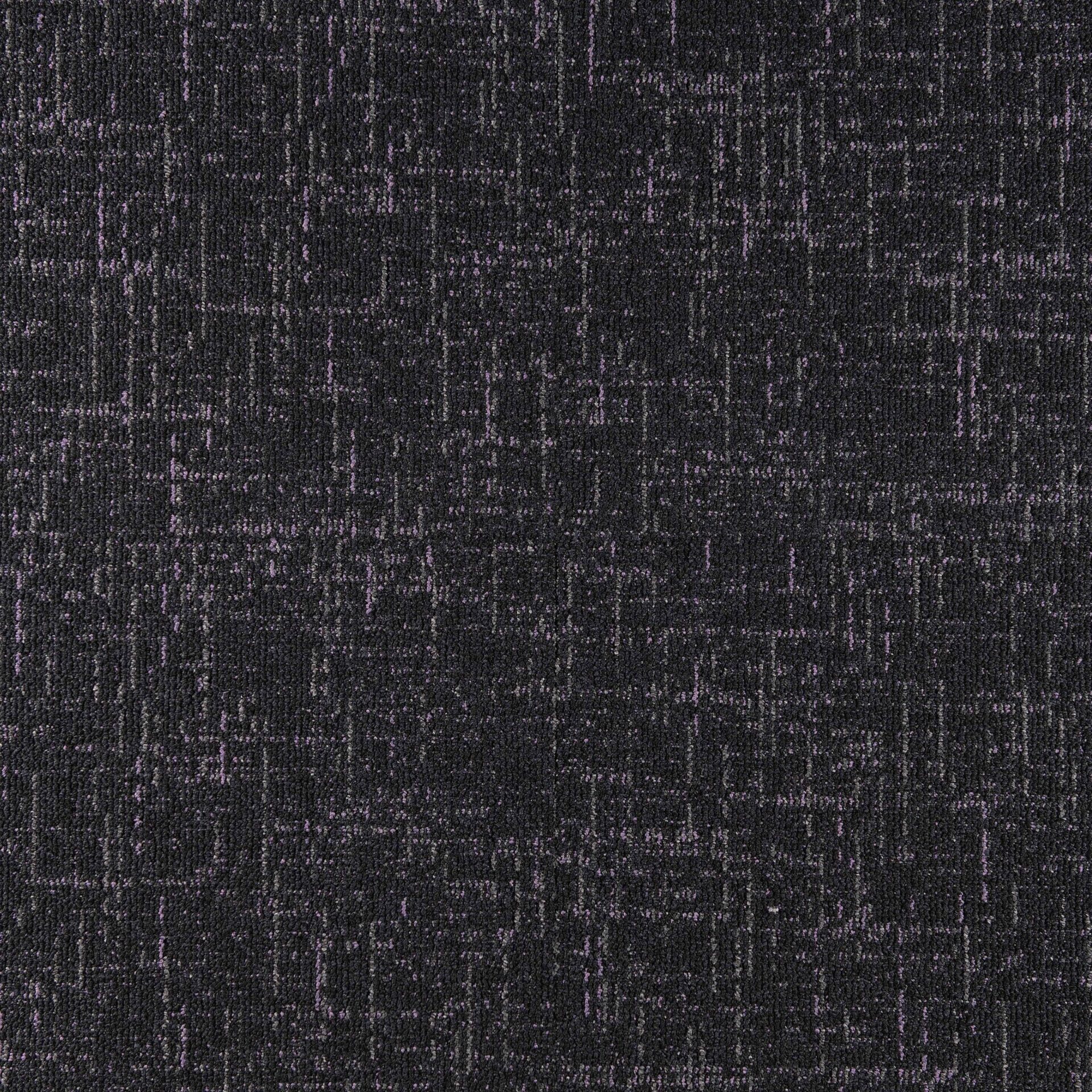 Sienna - Image 5